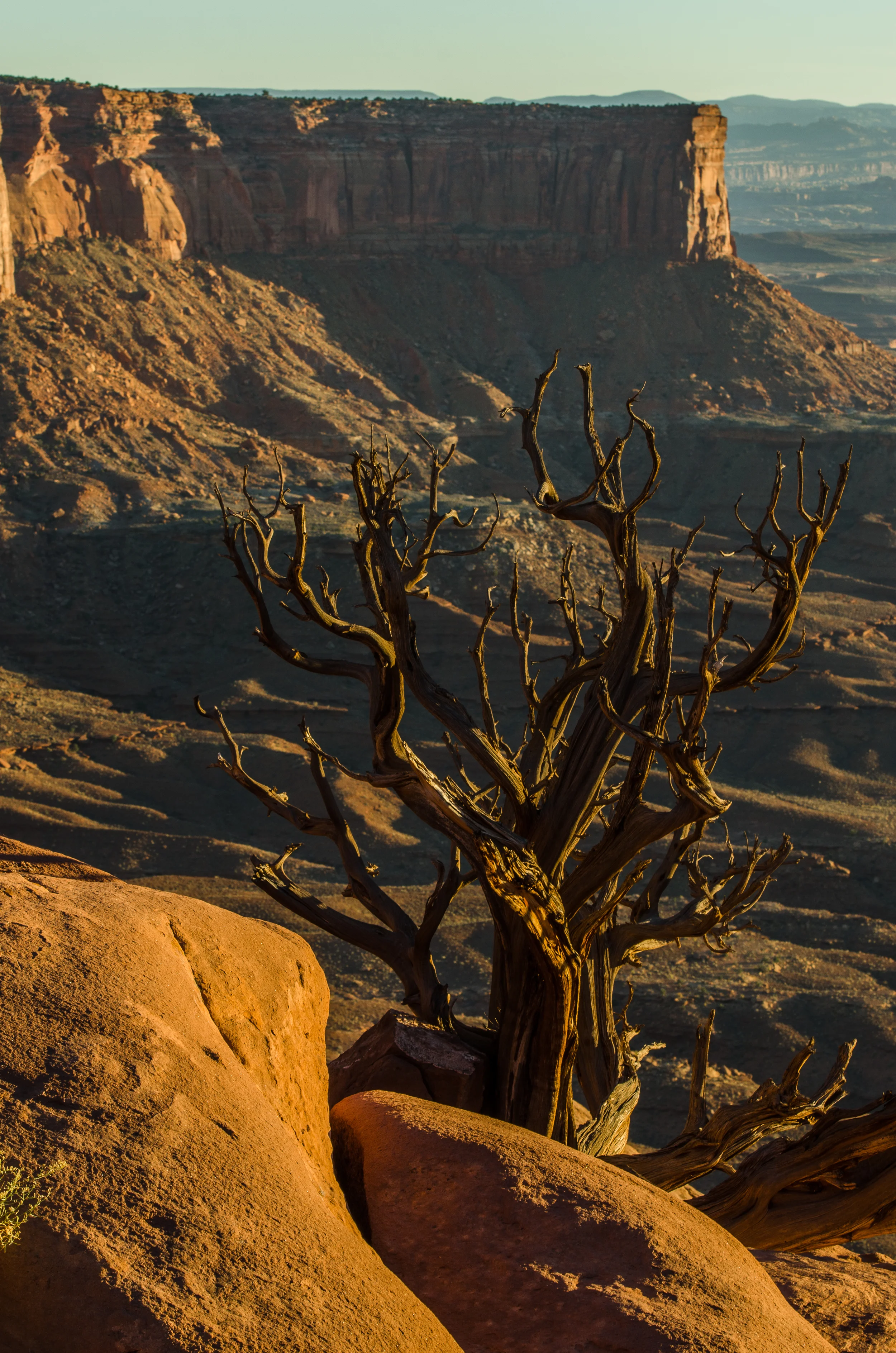 Utah-2-3-2.jpg