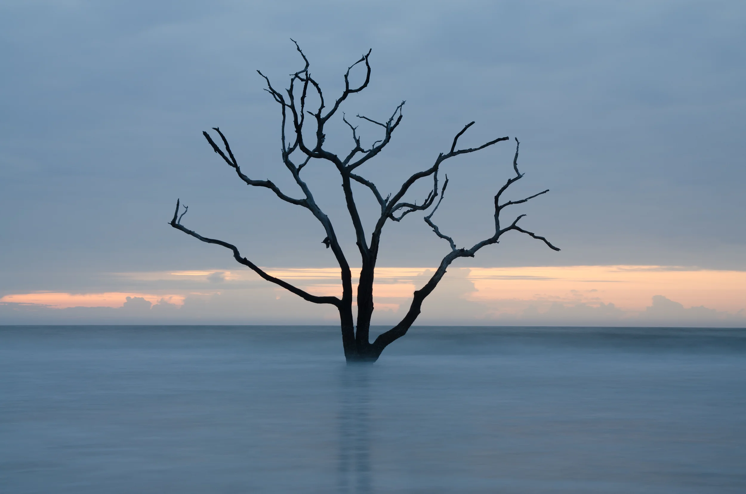 Edisto Island Trip 2016-3091.jpg