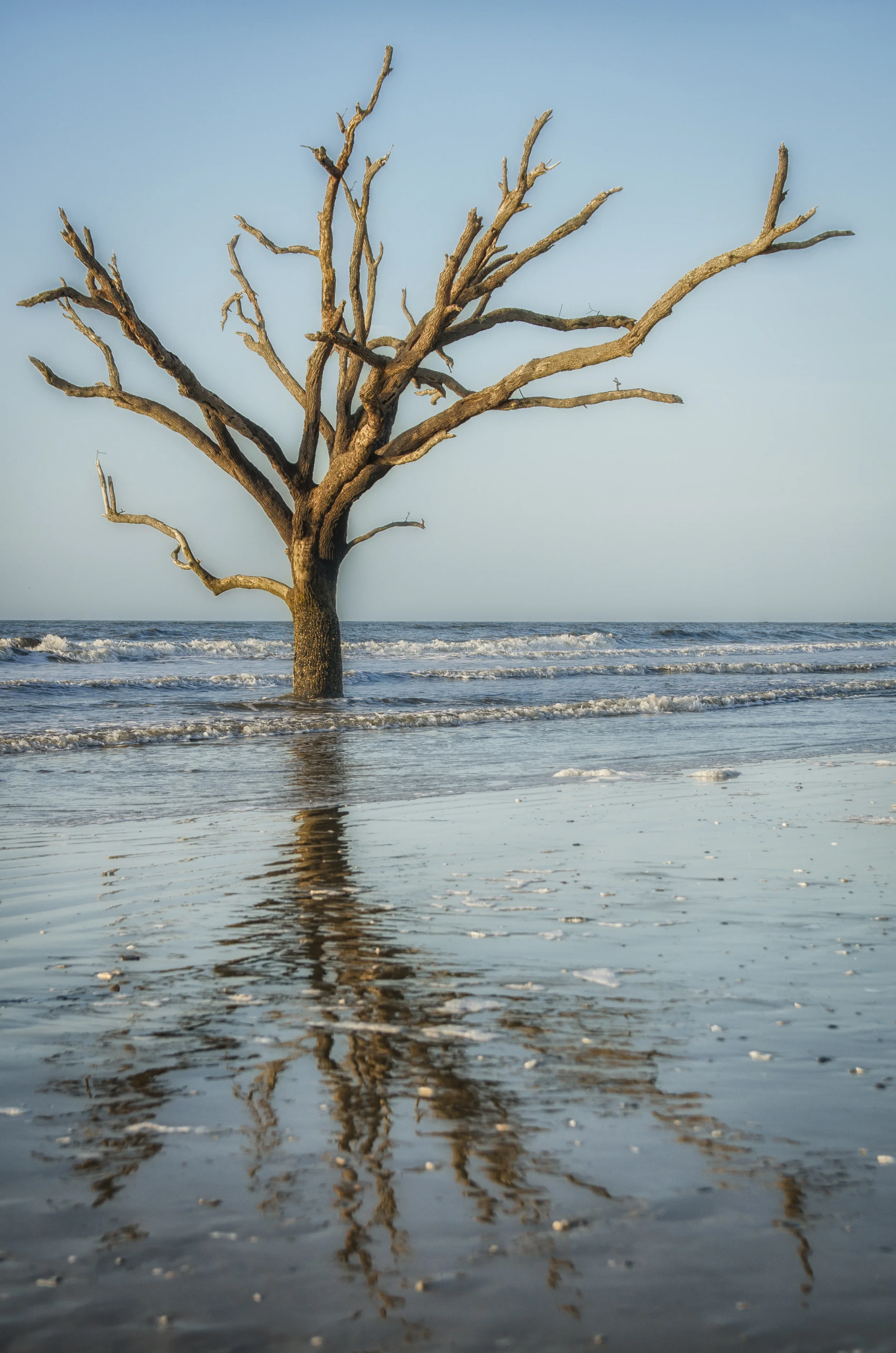 Edisto Beach Trip 2016-2910-Edit.jpg