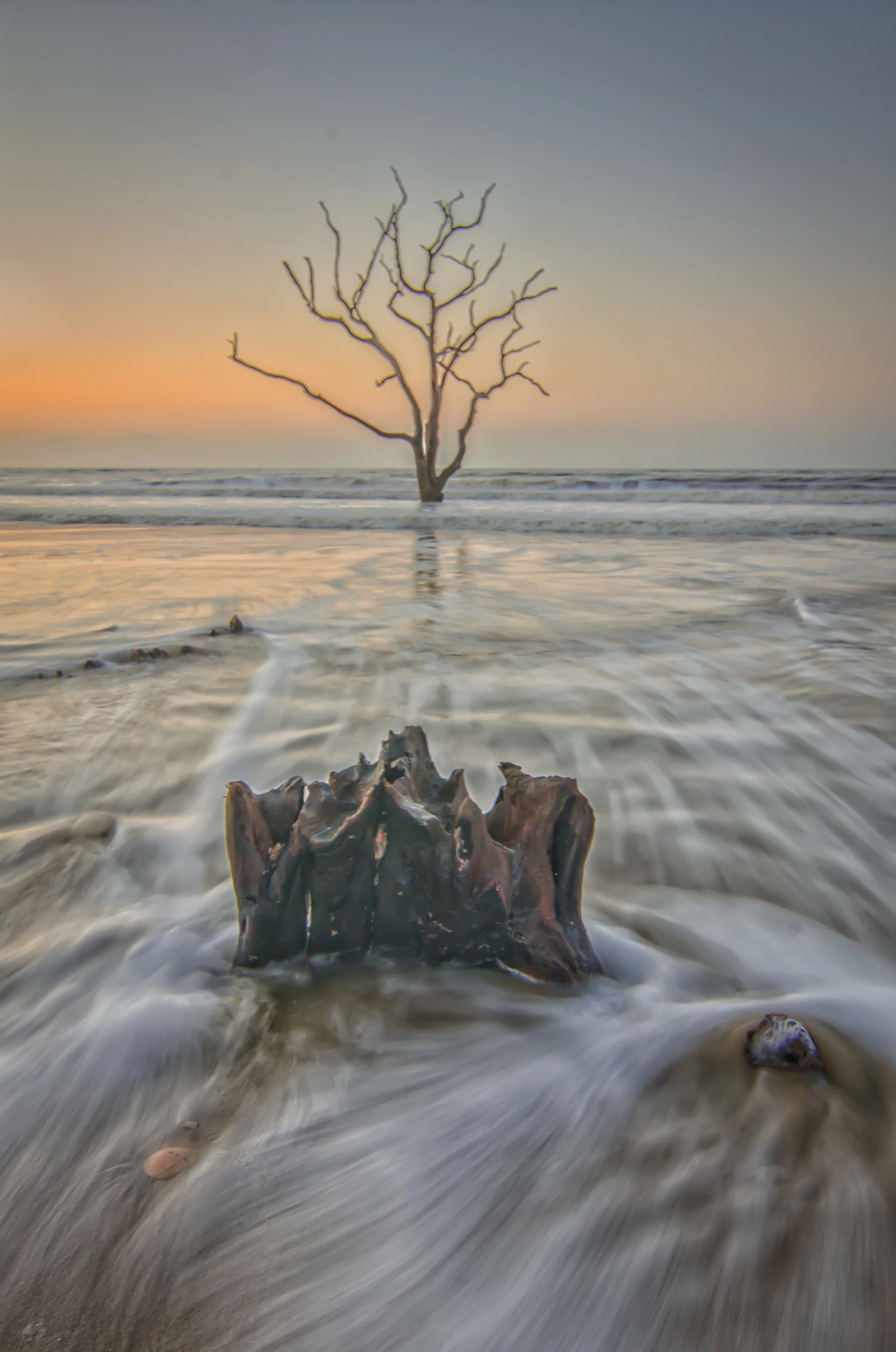 Edisto Beach Trip 2016-2791-Edit.jpg