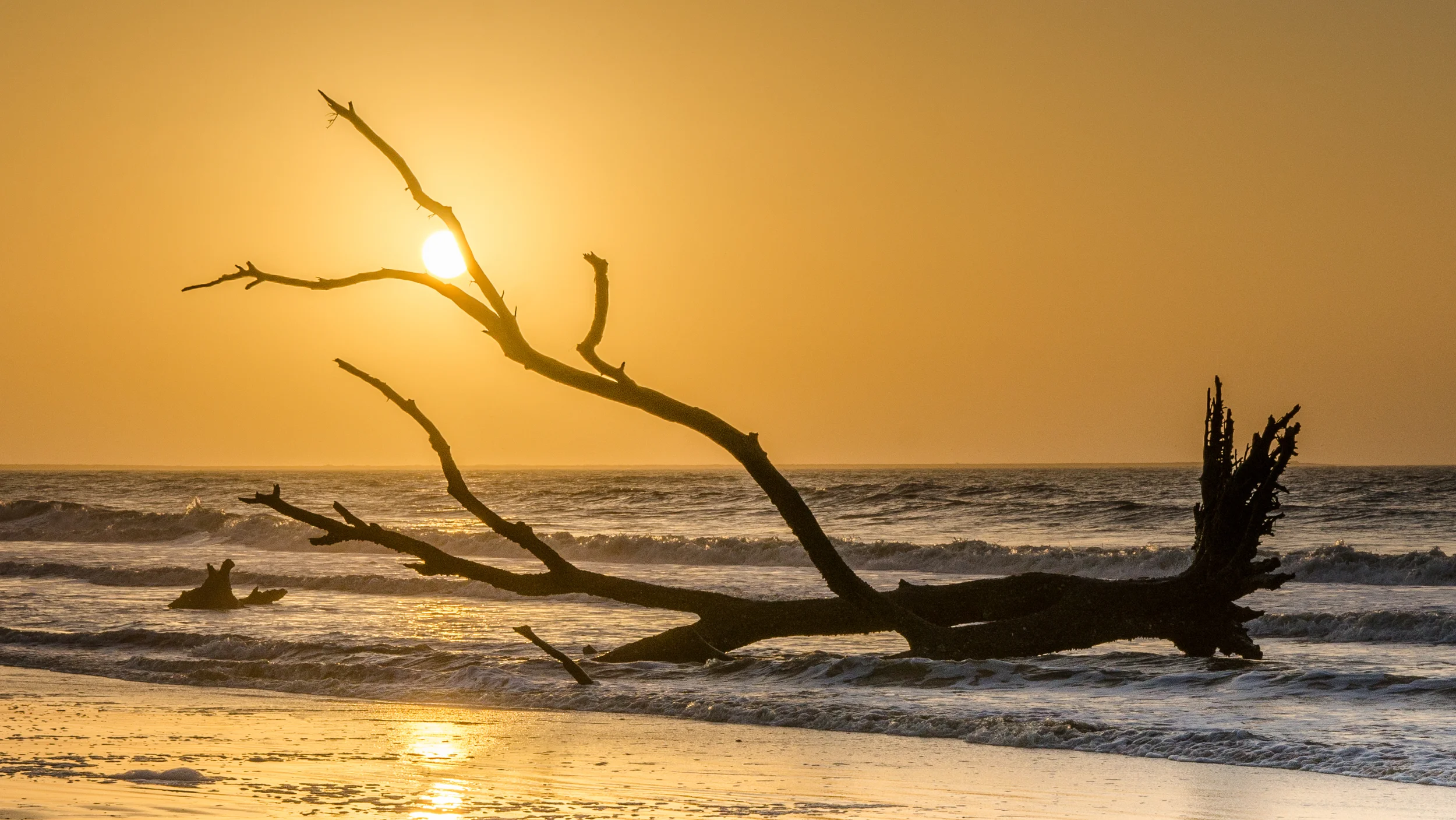Edisto Beach Trip 2016-2830.jpg