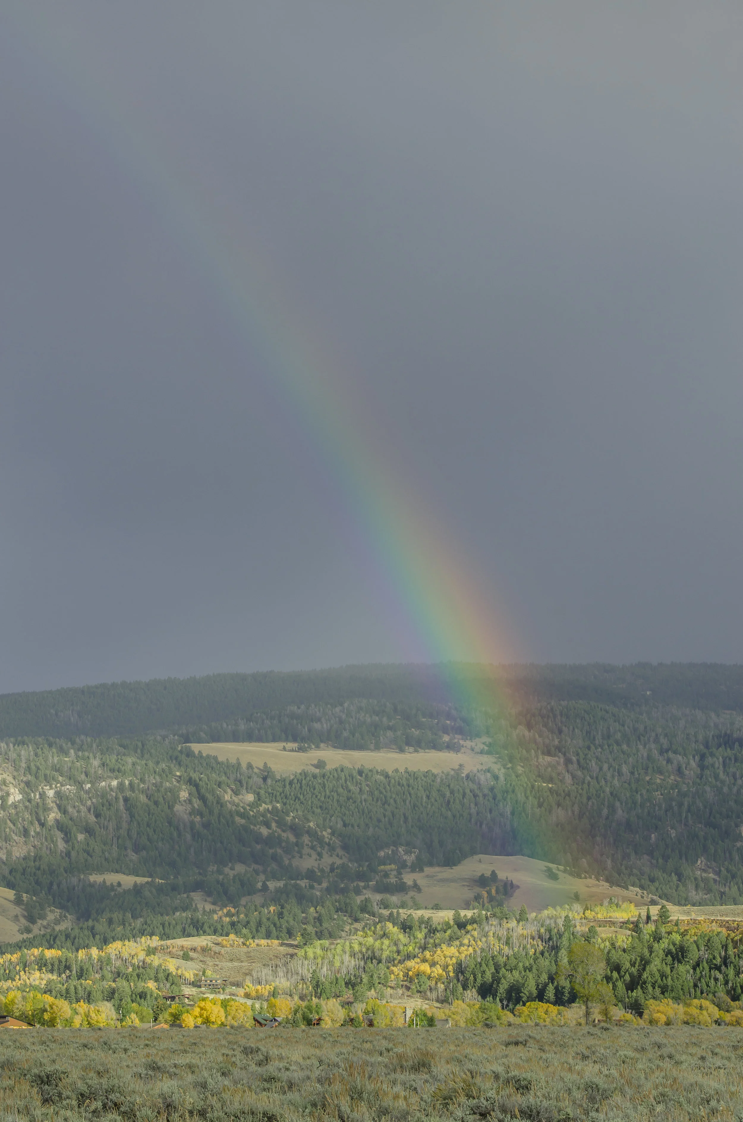Wyoming Pics-7202.jpg