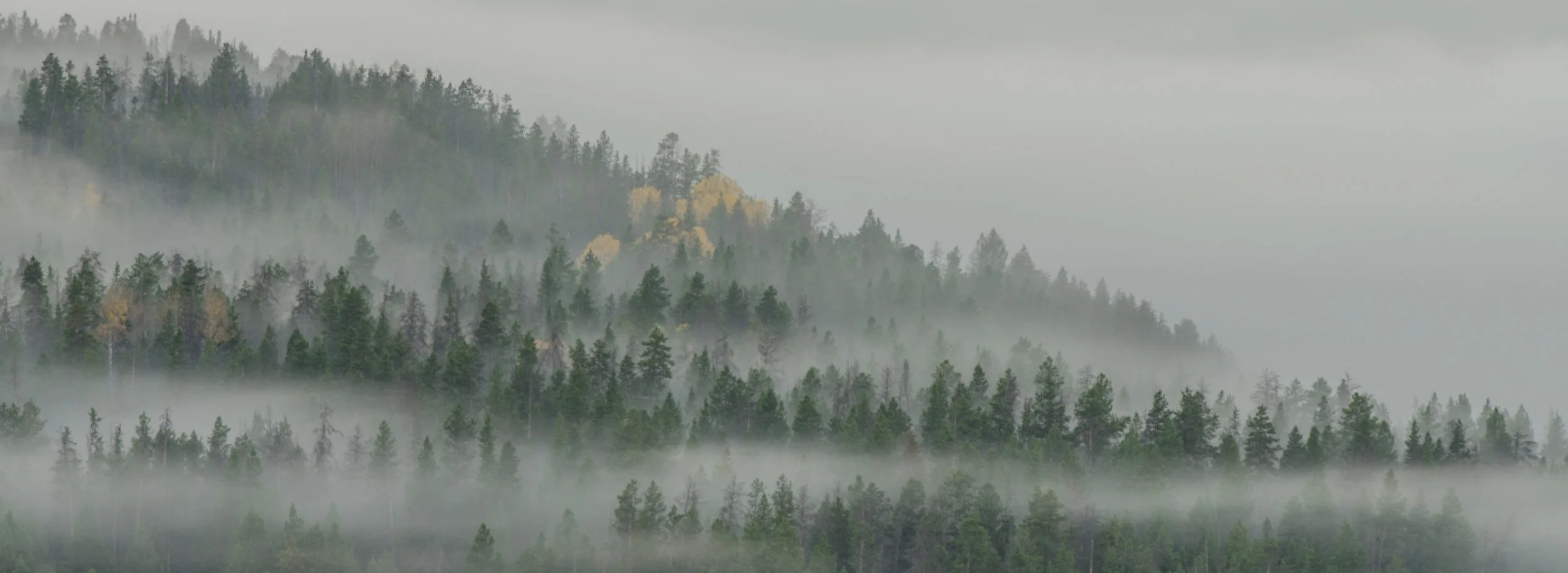 Wyoming Pics-7346.jpg