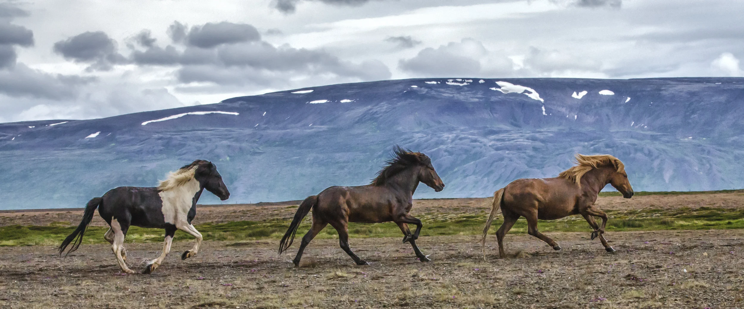Iceland (for website)-7.jpg
