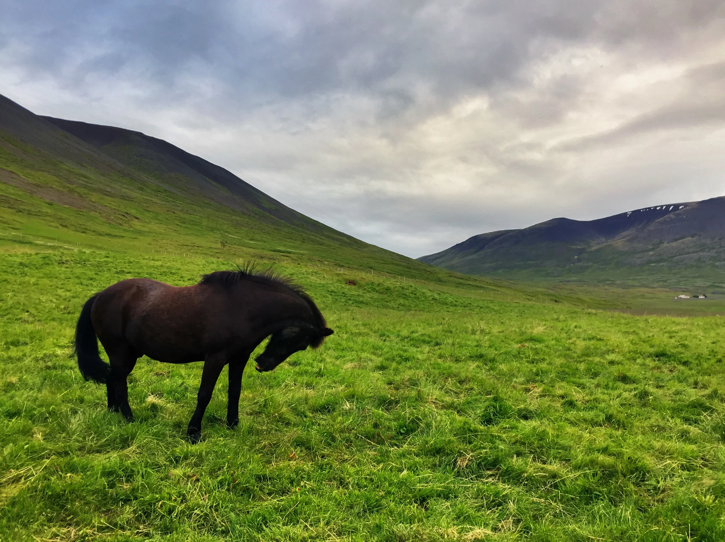 Iceland (for website)-13-2.jpg