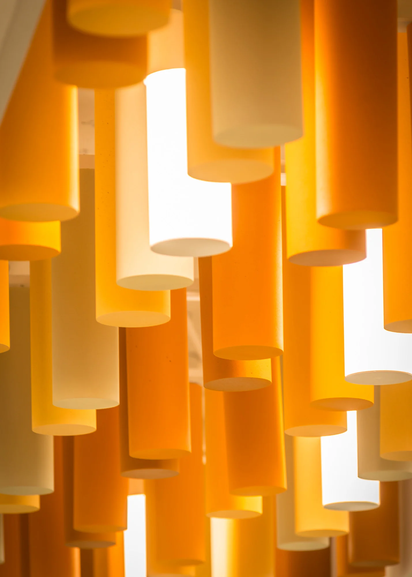 modulus_20150131_0575.jpg