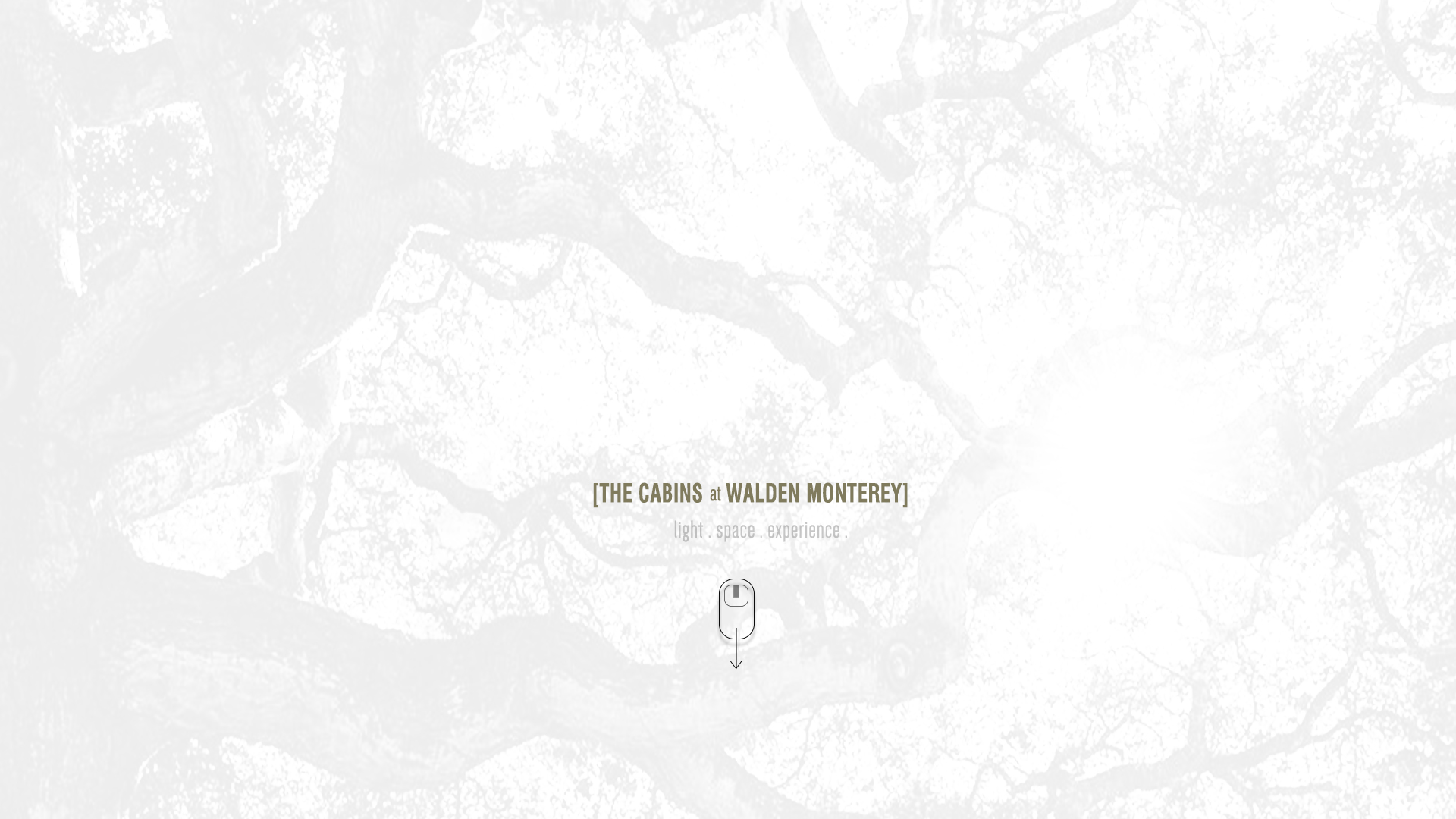 Walden Monterey_splash.jpg
