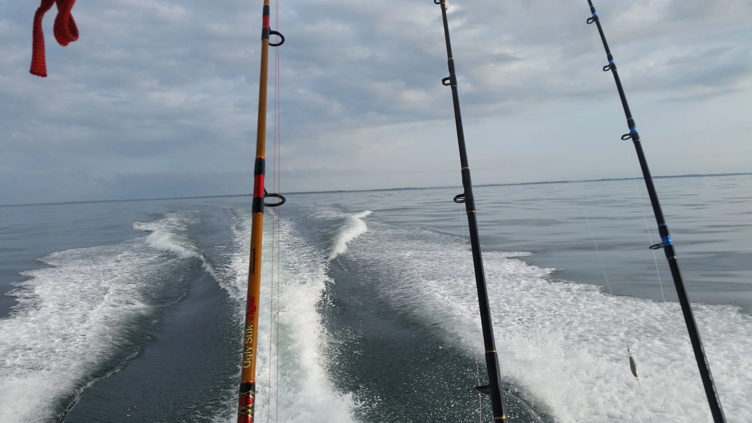 20140531_072735.jpg