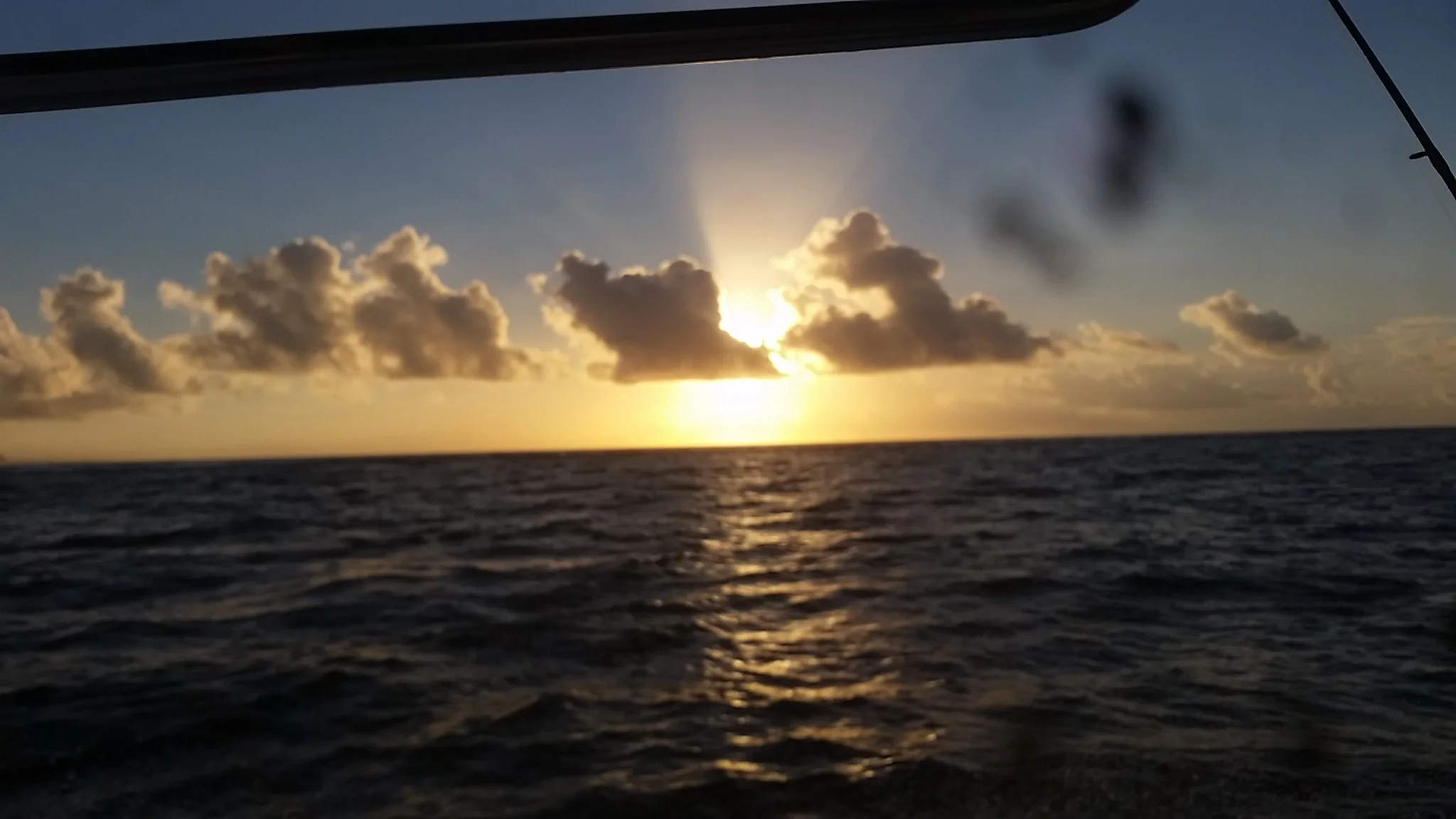 20140829_071729.jpg