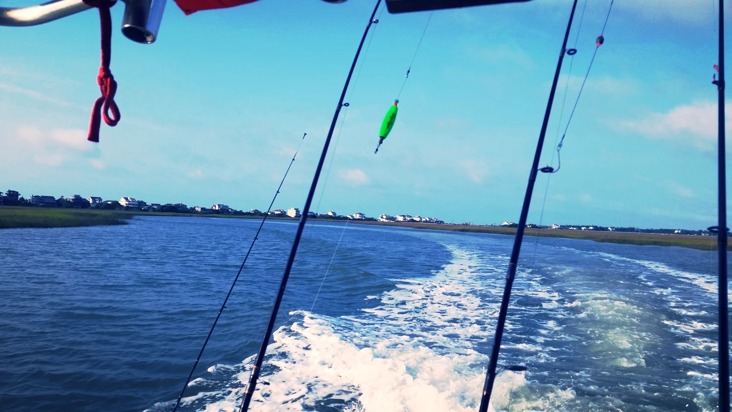 20140528_080050.jpg