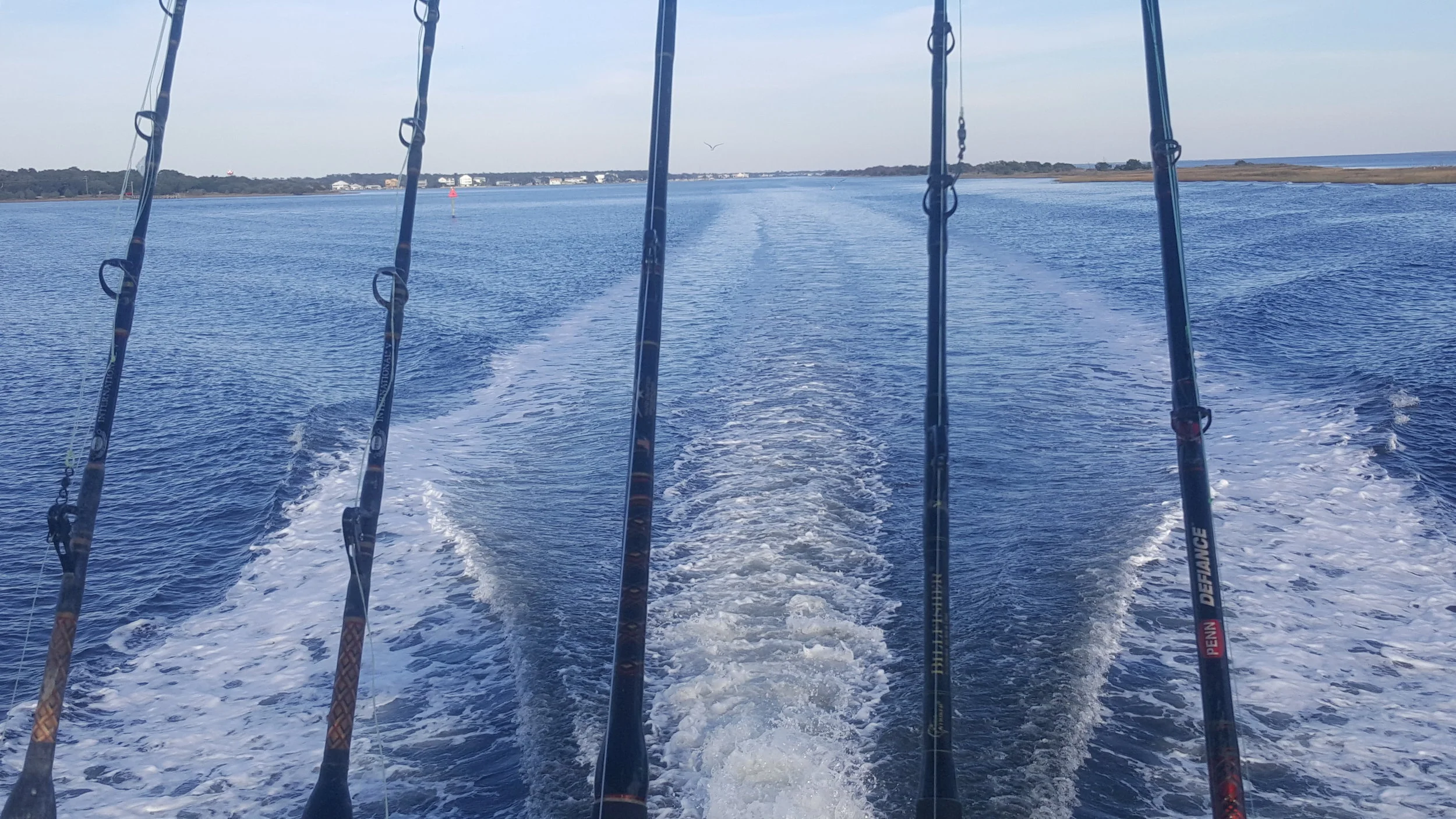 20161111_152240.jpg