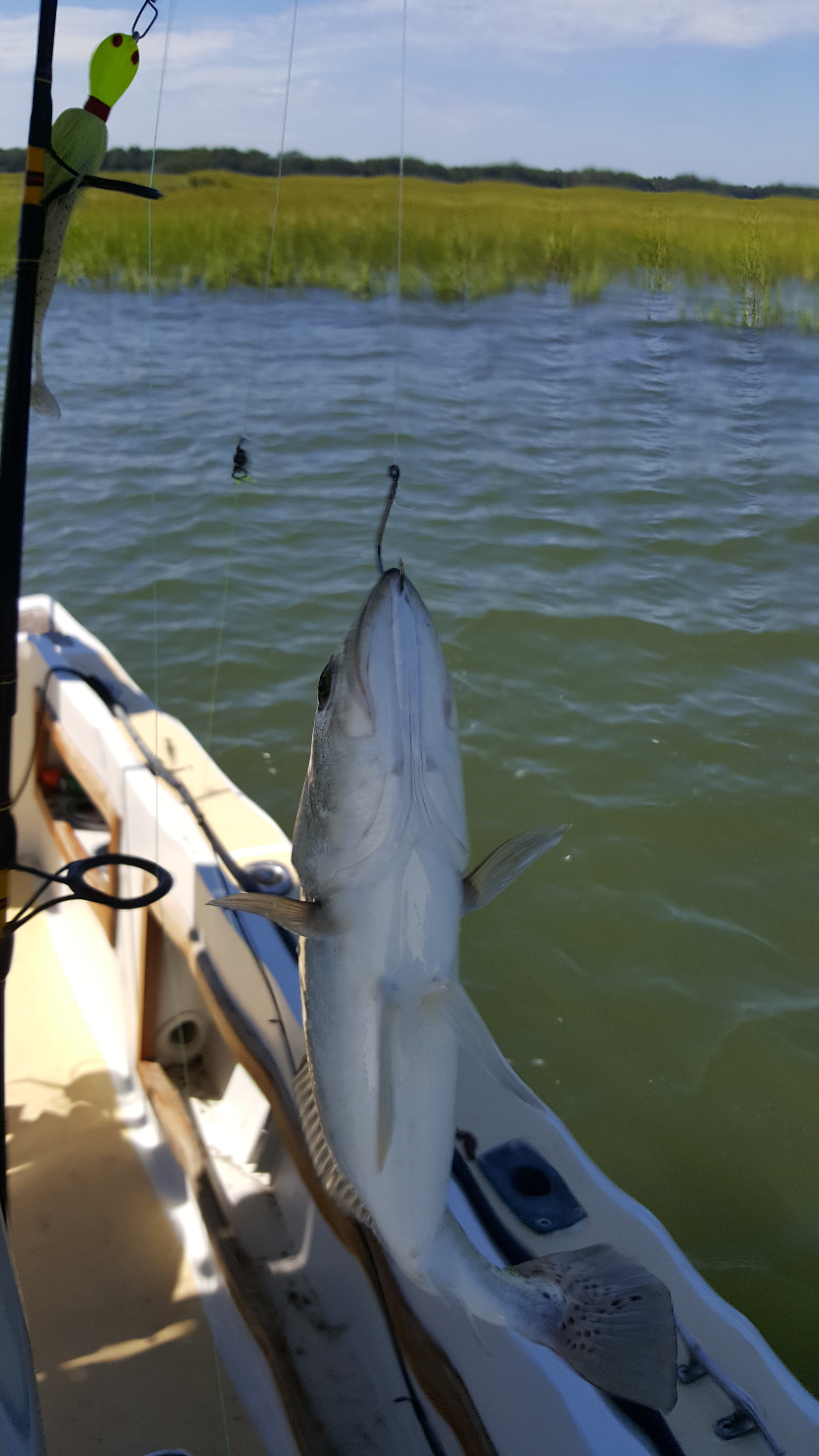 20160825_114559.jpg