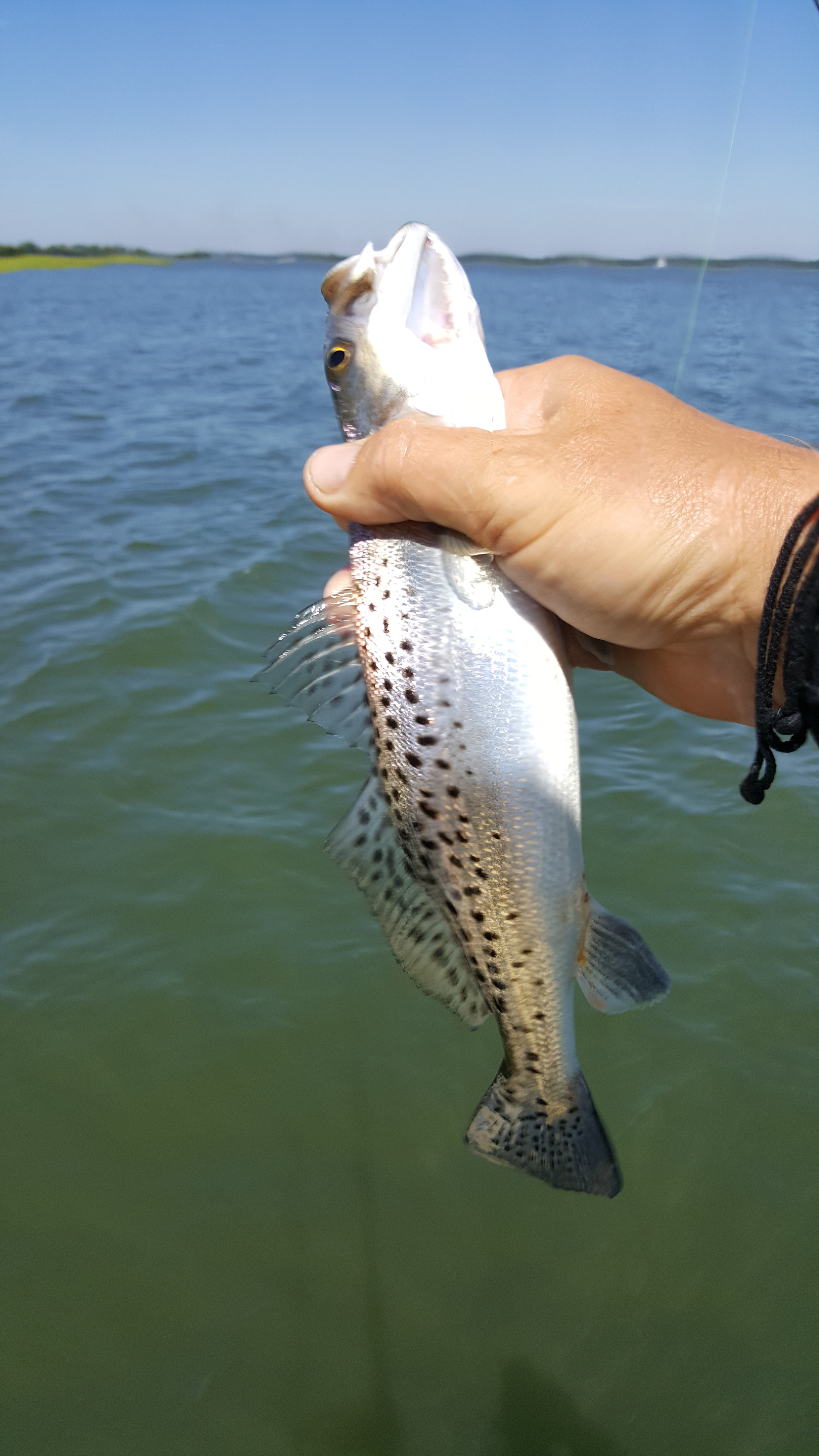 20160825_115309.jpg