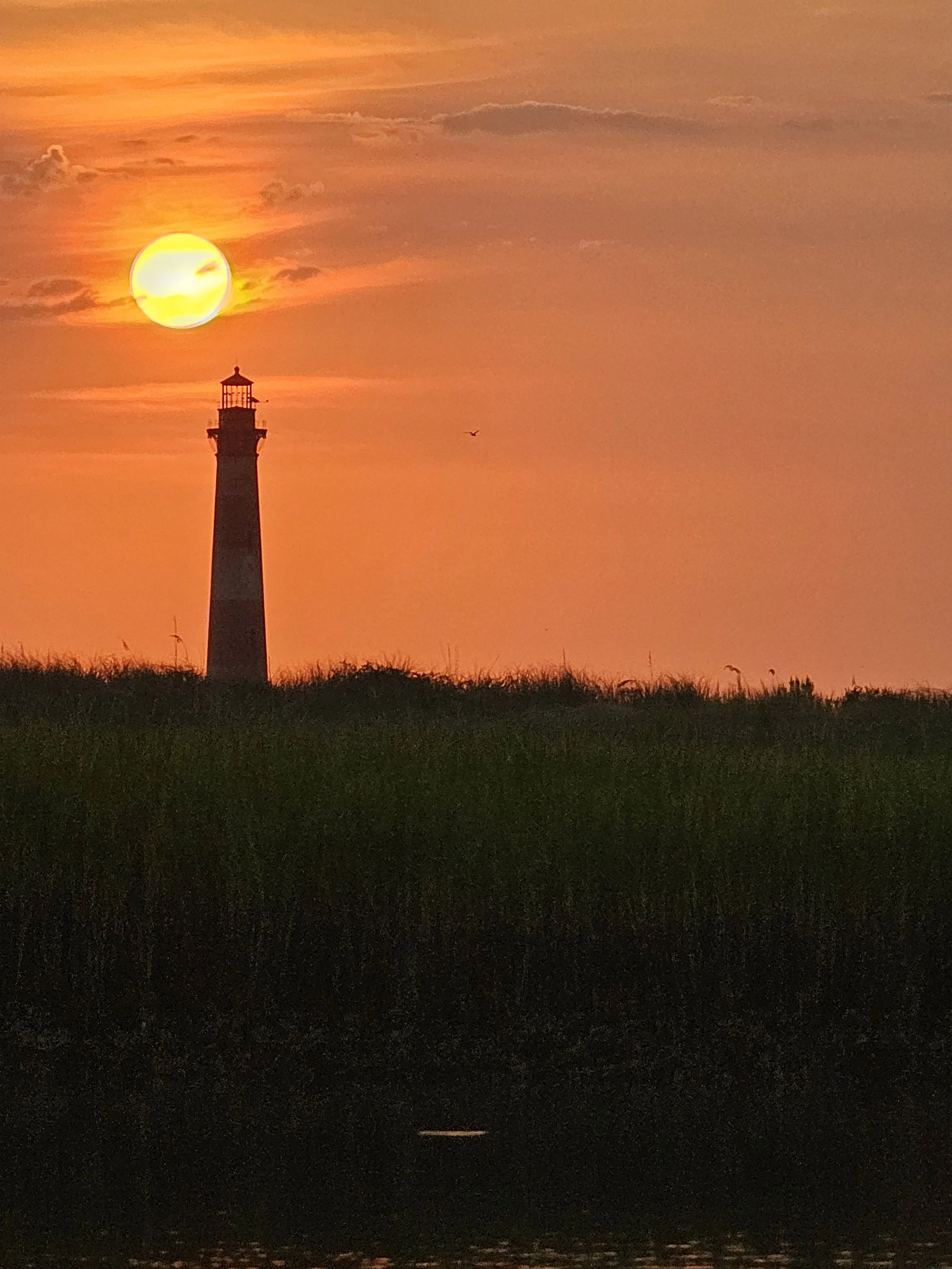 20230825_070520[1].jpg