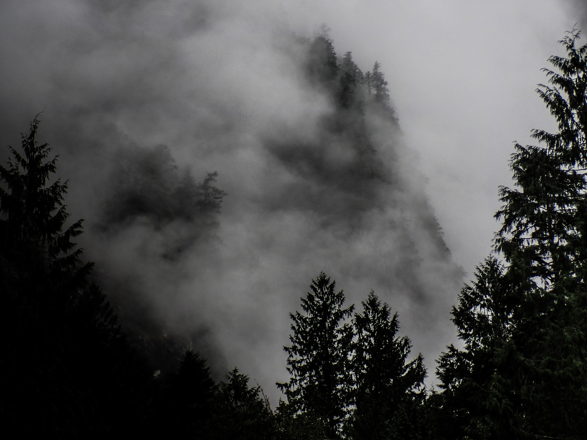 P9021351-2-Resized.jpg