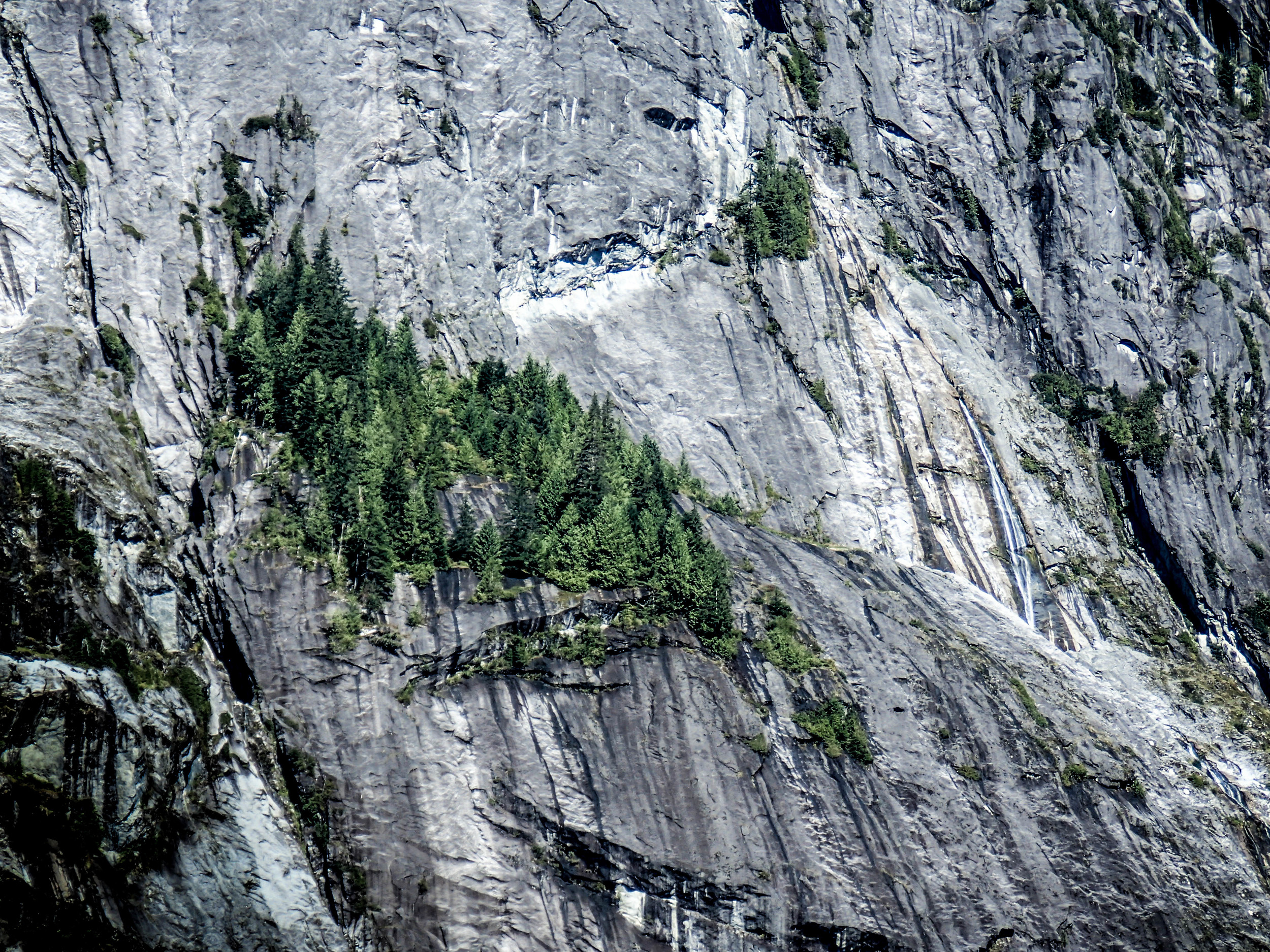 P9031531-Resized.jpg
