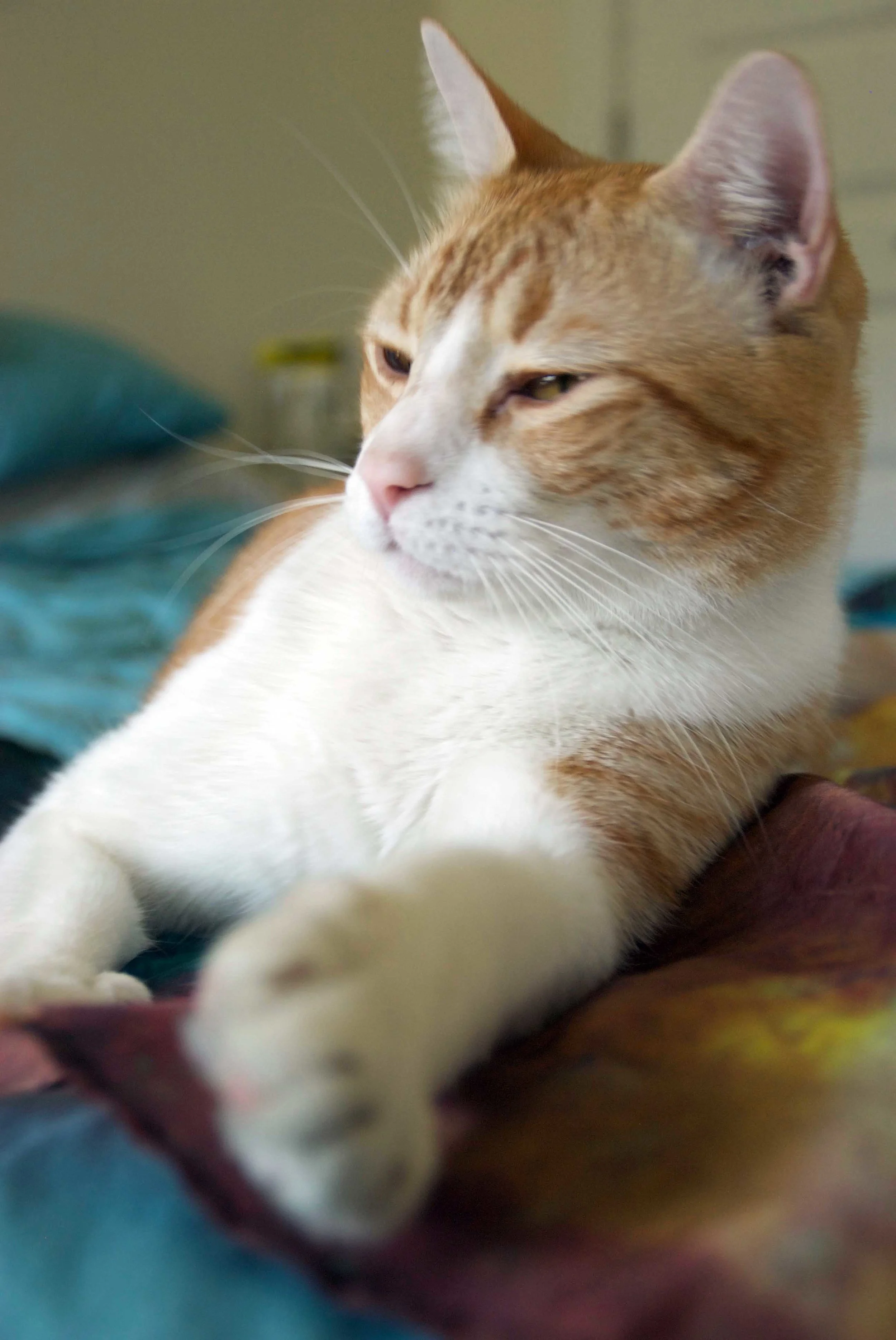 DSC_0627.jpg