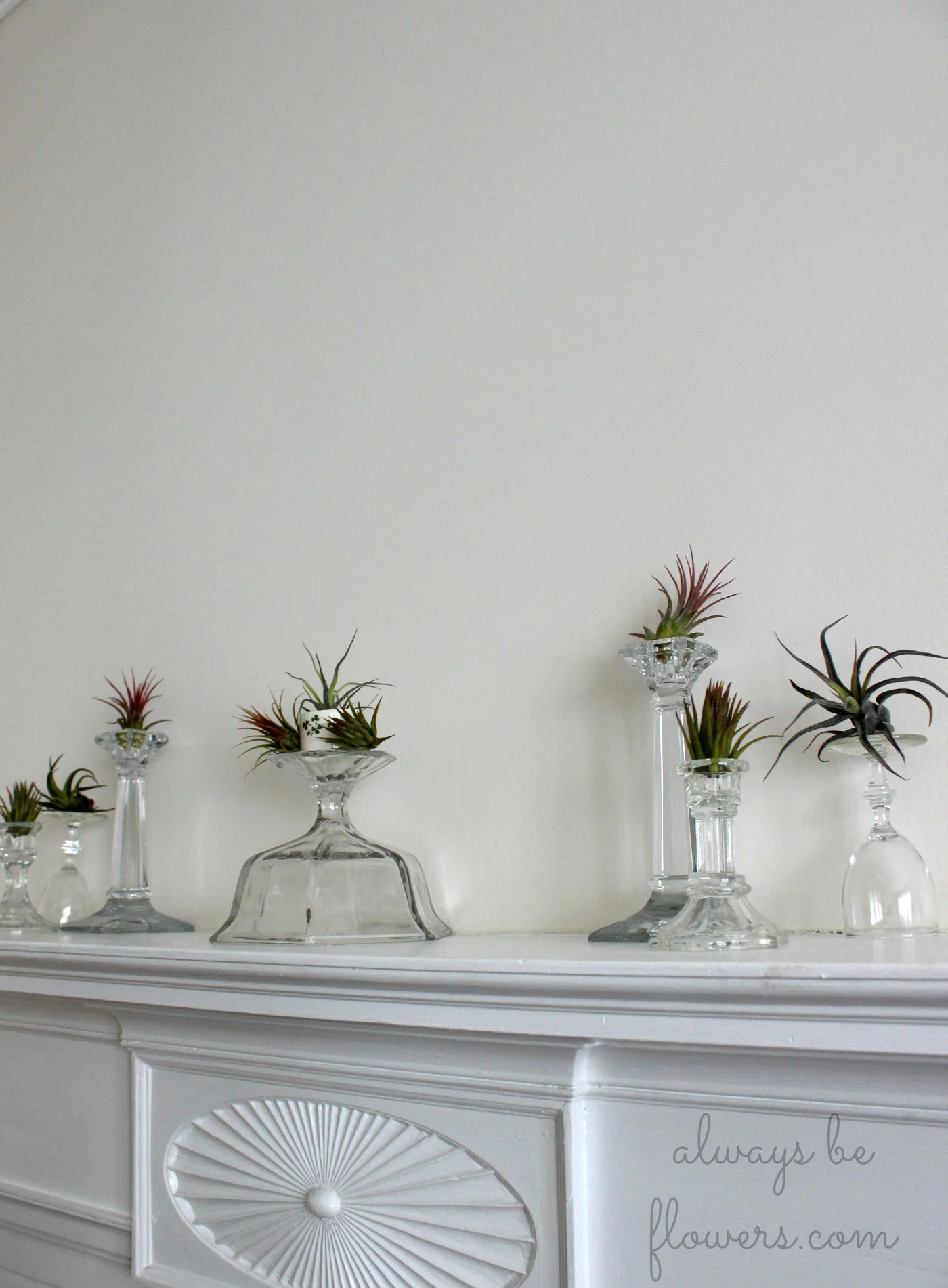 Glass candlestick holders add vertical interest to the air plants.