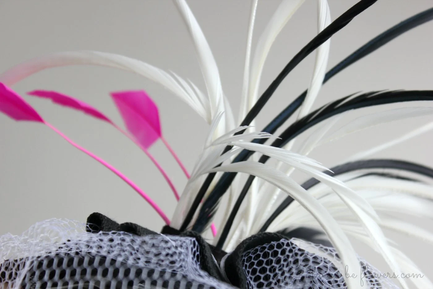 I think the sharp lines of these black and white feathers will play off the stripes in her dress. 