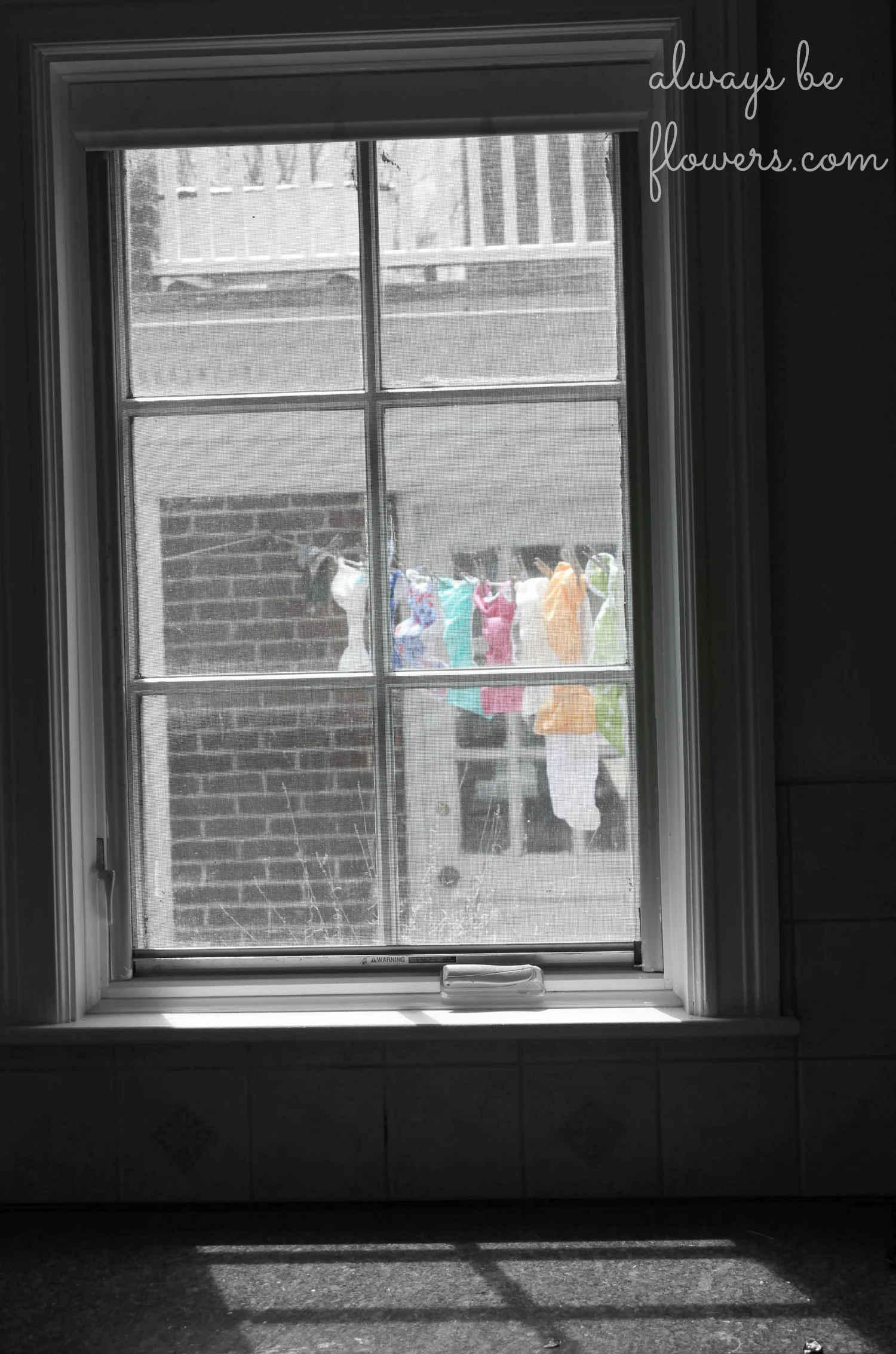 While cloth diapers hanging on the clothesline was a normal sight for my grandmother, I'm pretty sure she would find the fun colors frivolous.