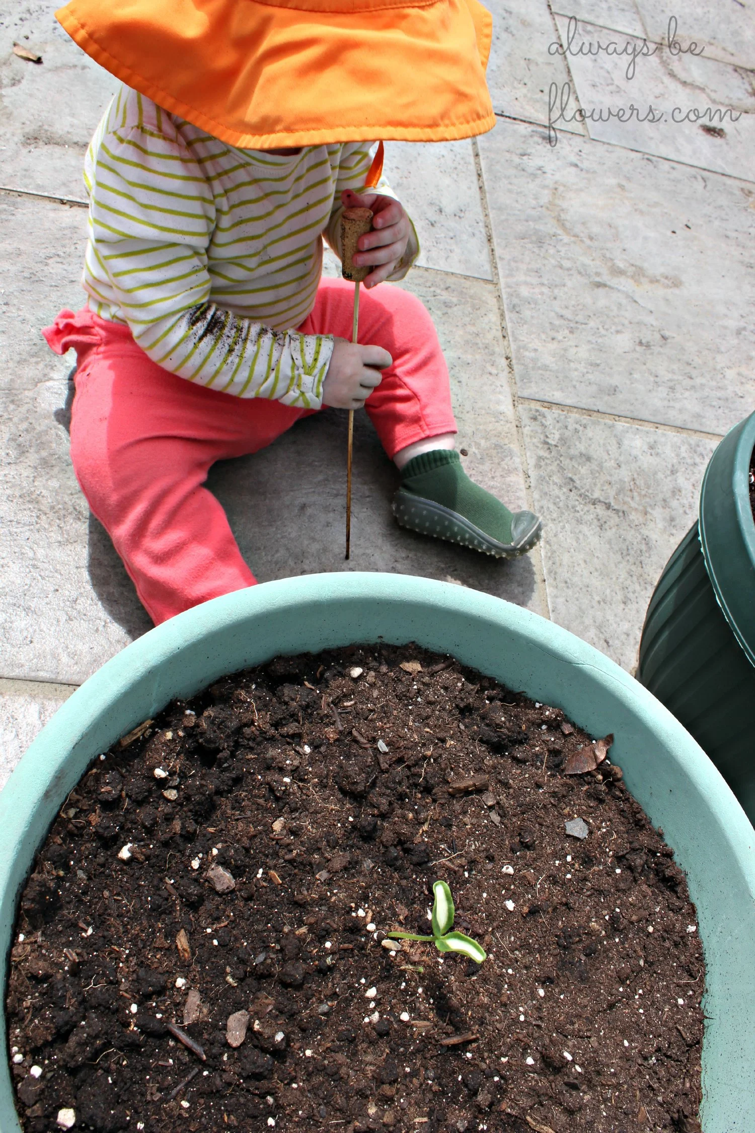 My plant markers may not be very toddler-friendly...