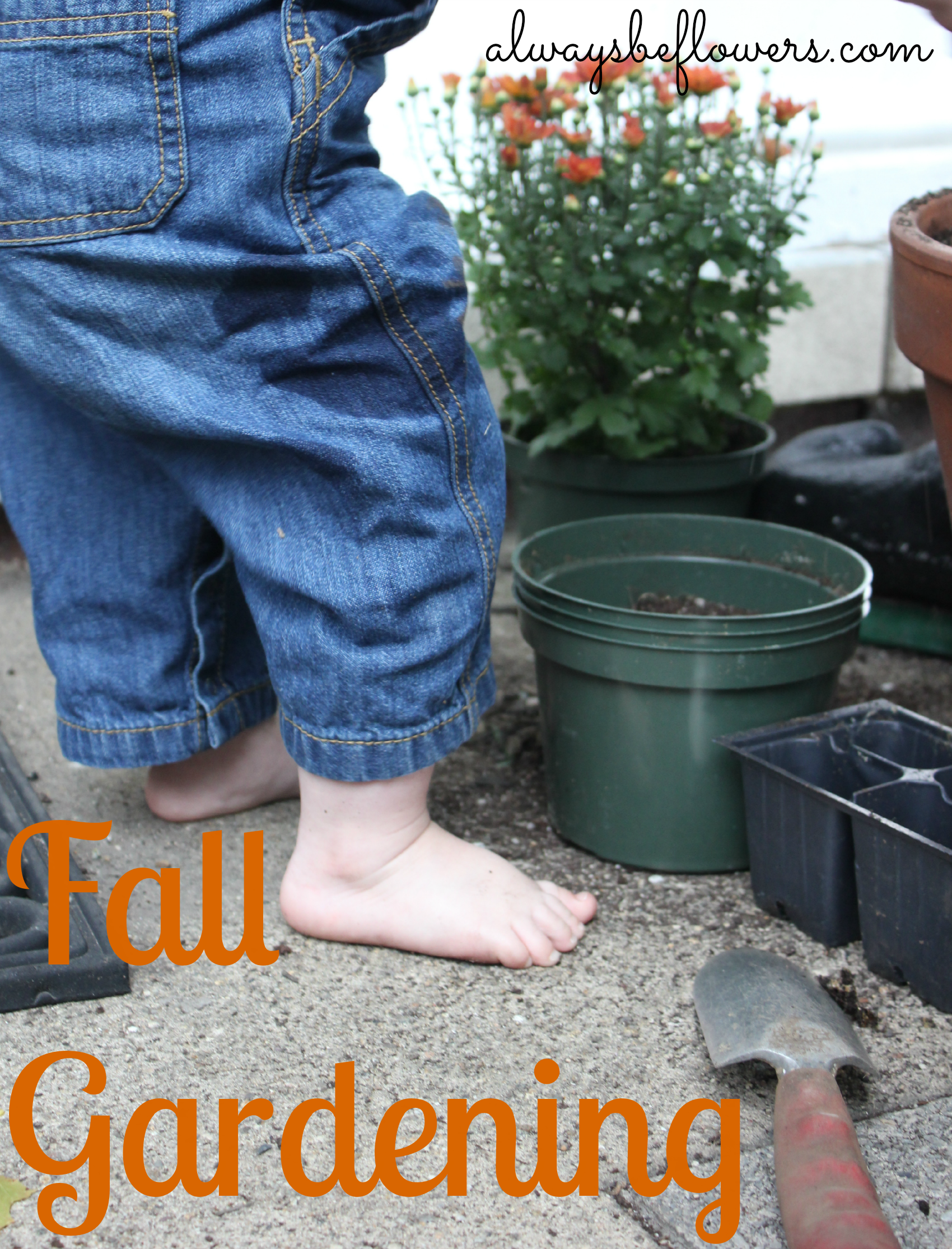 The start of fall gardening with toddler.png