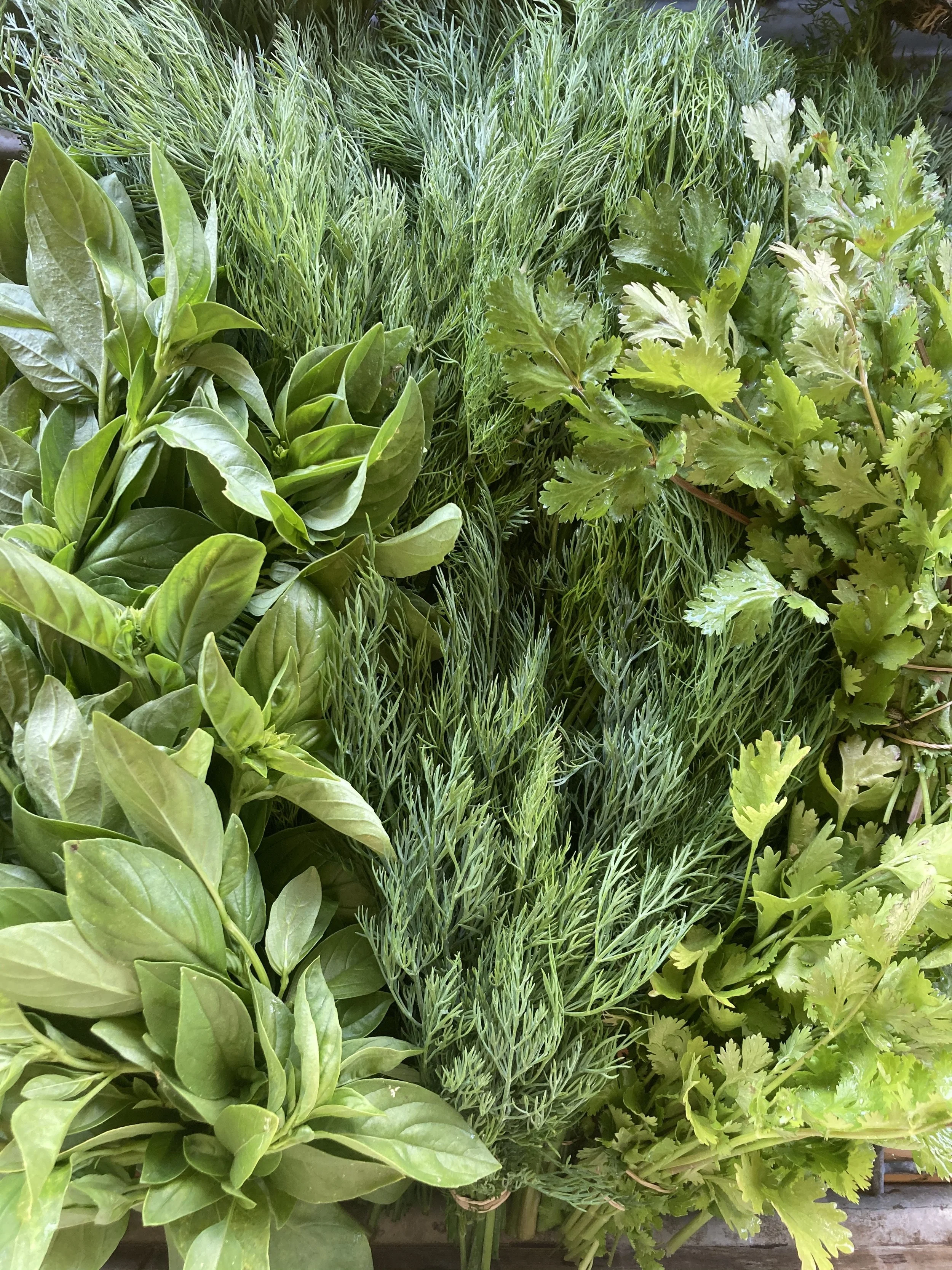 herbs.jpg