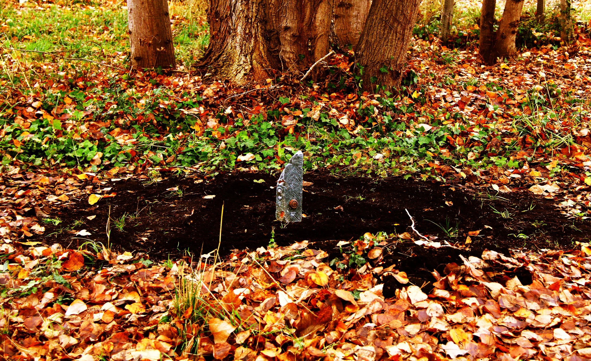  installed in a secluded wooded area with hellenic iconography inscribed in the surrounding dirt 