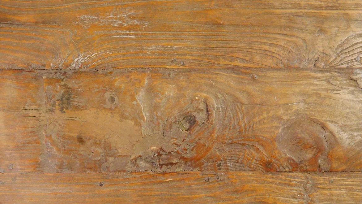 P1050841.jpg