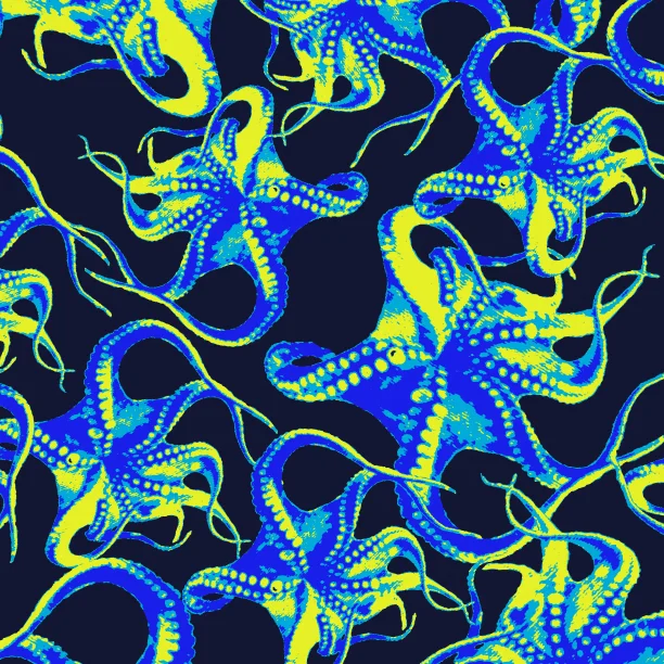 OCTOPI.jpg