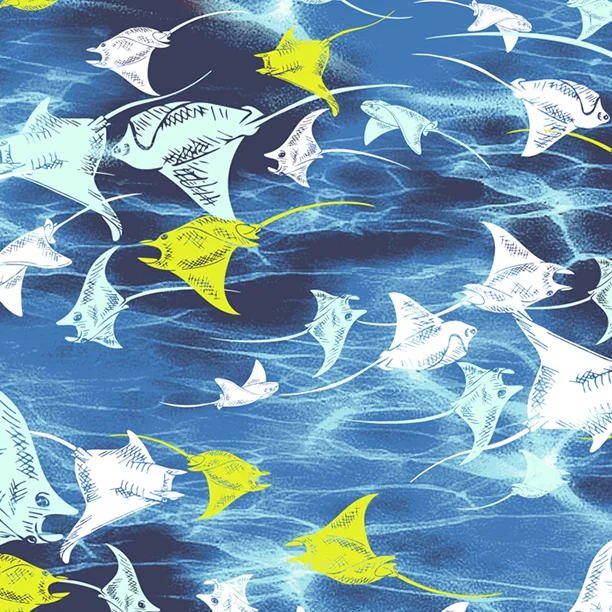 STING RAYS.jpg