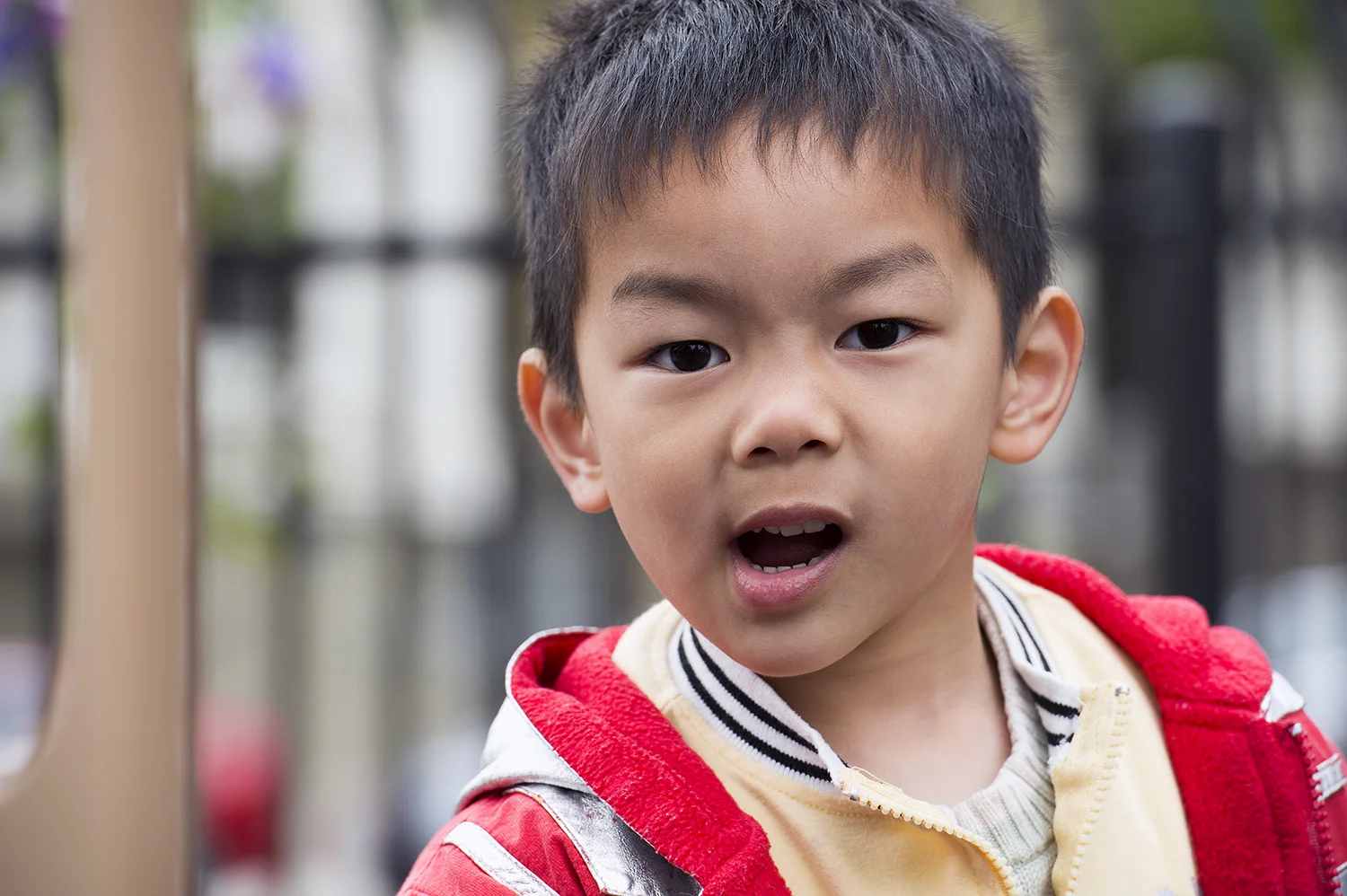   These photographs were made for Faces SF which operates&nbsp;subsidized child care facilities for qualified families in San Francisco. &nbsp;I volunteered my services for this project. The images will be used for various Faces SF publications.  