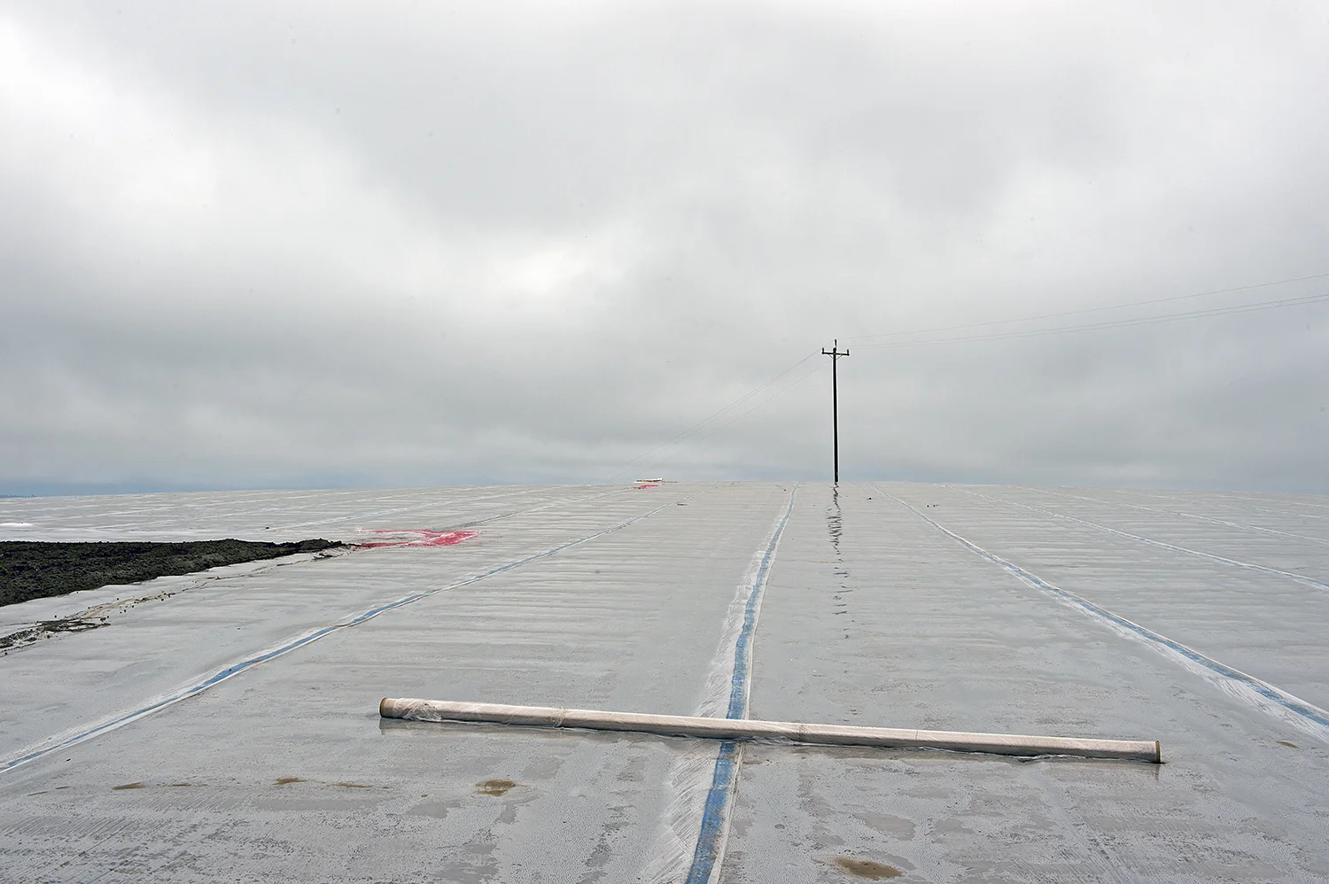 Watsonville, CA 2014