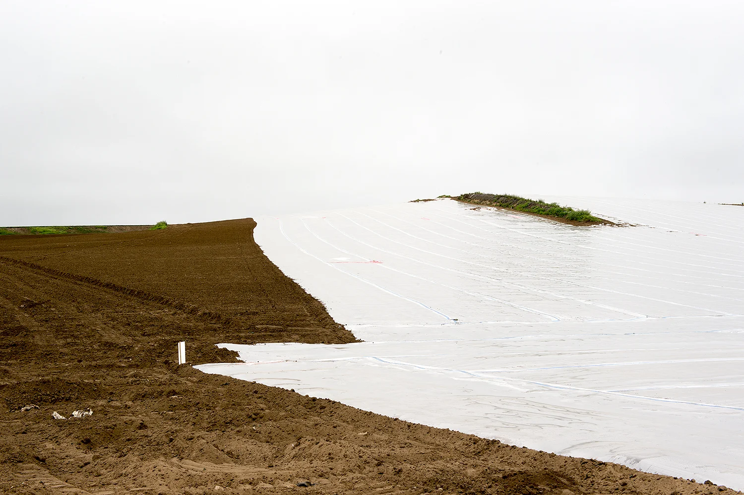 Watsonville, CA  2014