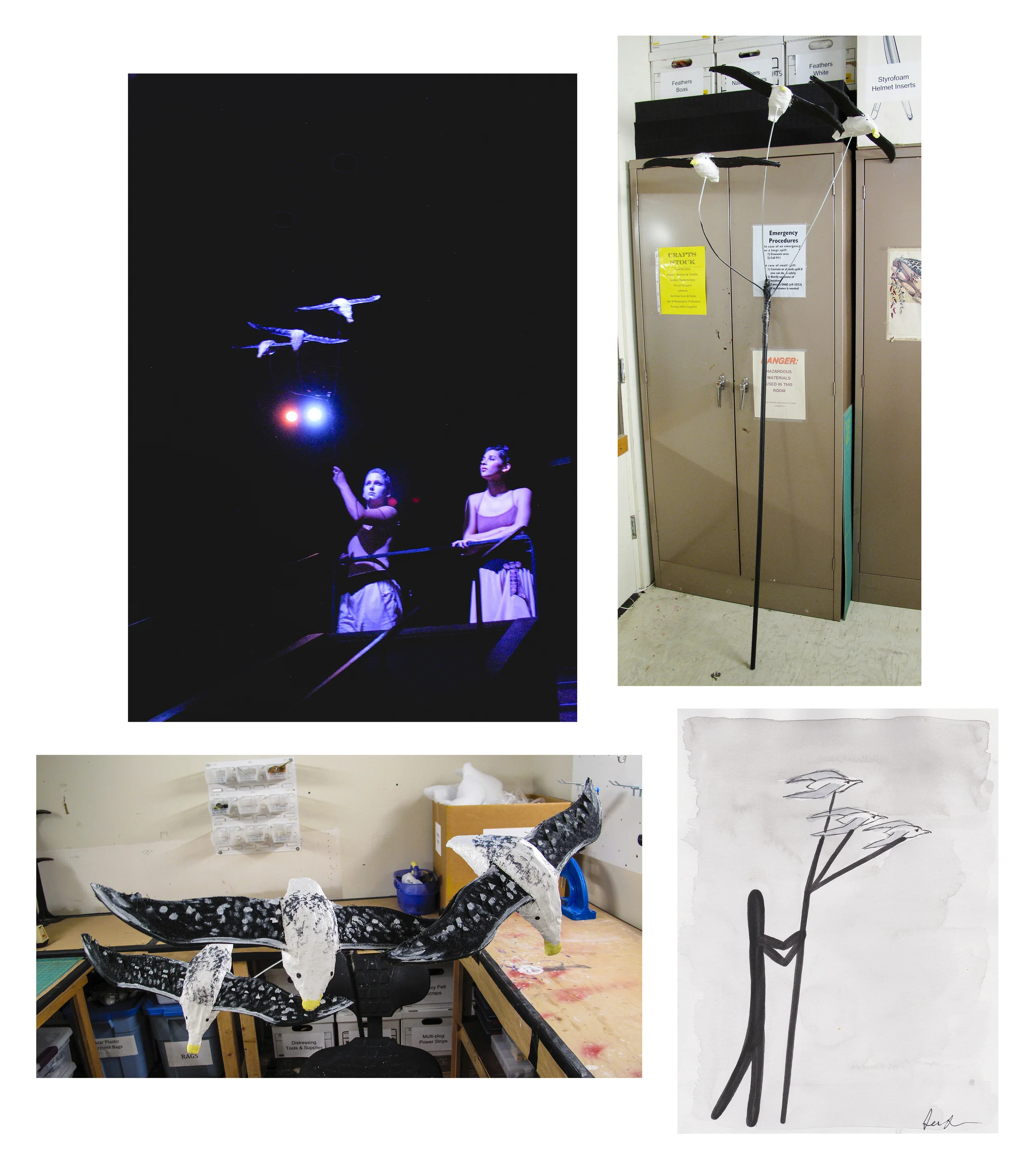 I Dream of Chang & Eng