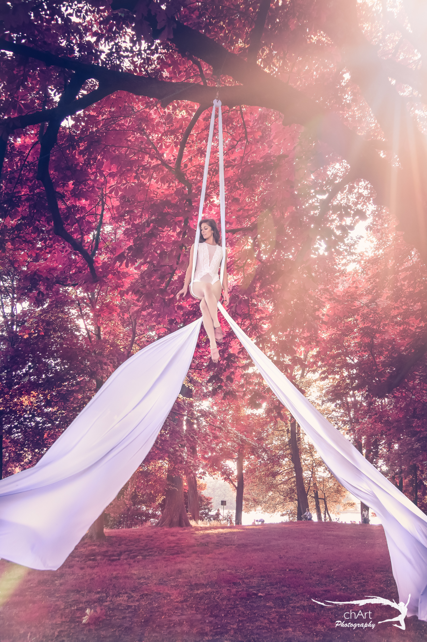 Aircandy. Vertikaltuch luftakrobat Berlin. Aerialist, Aerial Silk Berlin