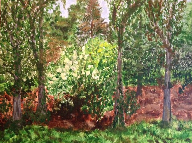 Wayland Bush