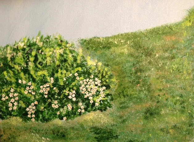 Spring Bushes
