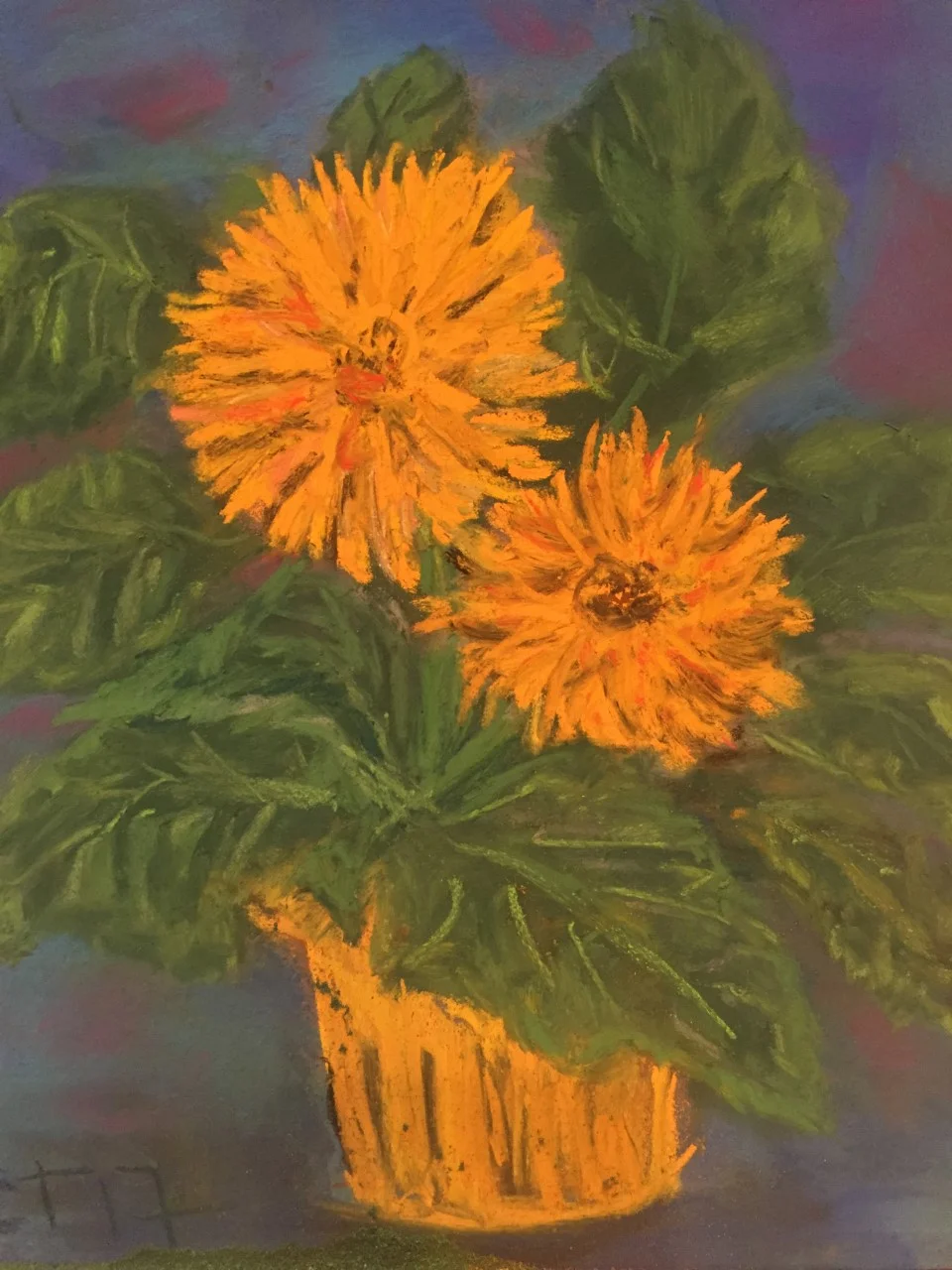 Flowers from Whole Foods