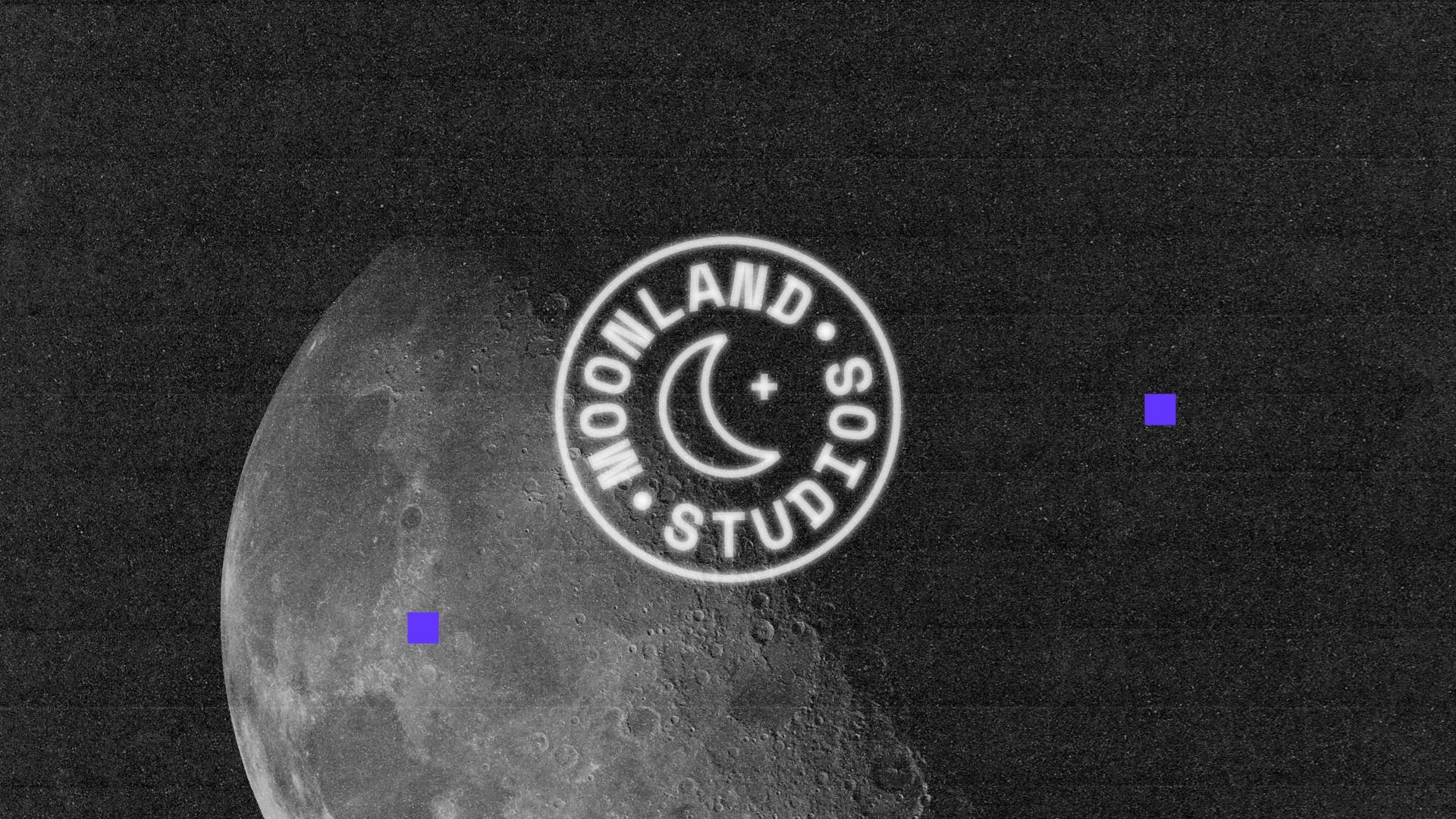 ALPHA_Moonland_BrandGuide_Pur_2.jpg