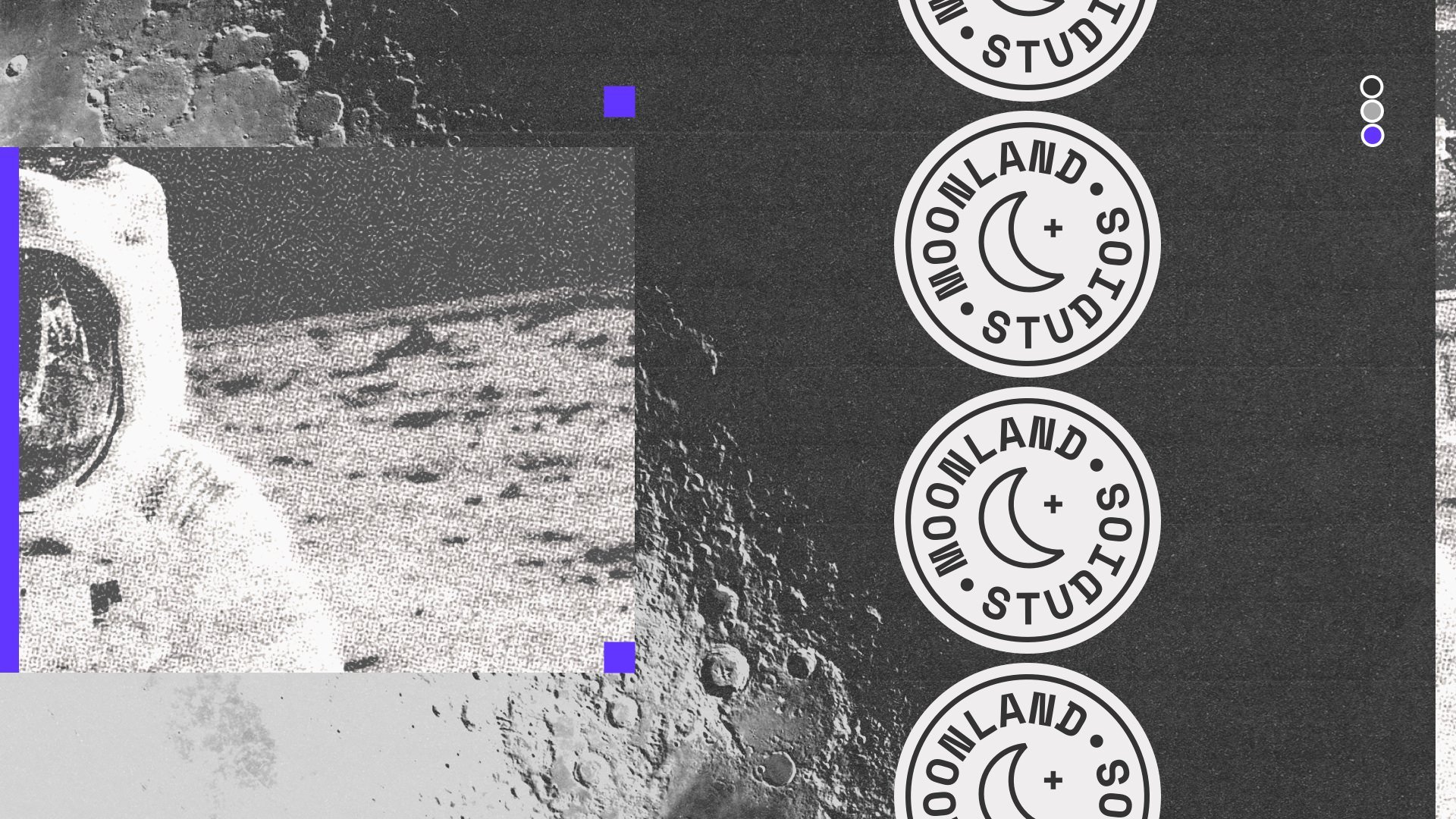 ALPHA_Moonland_BrandGuide_Pur_7.jpg