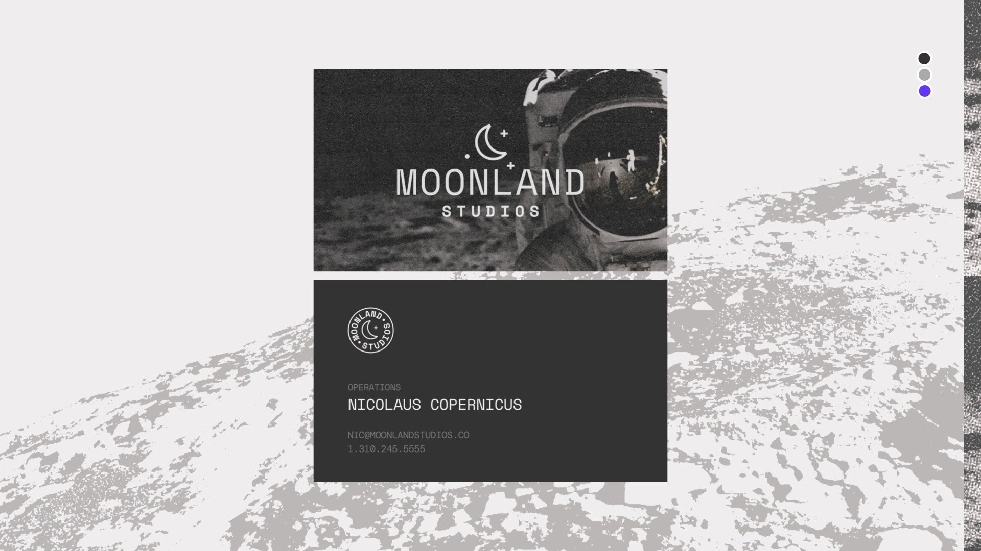 ALPHA_Moonland_BrandGuide_Pur_9.jpg