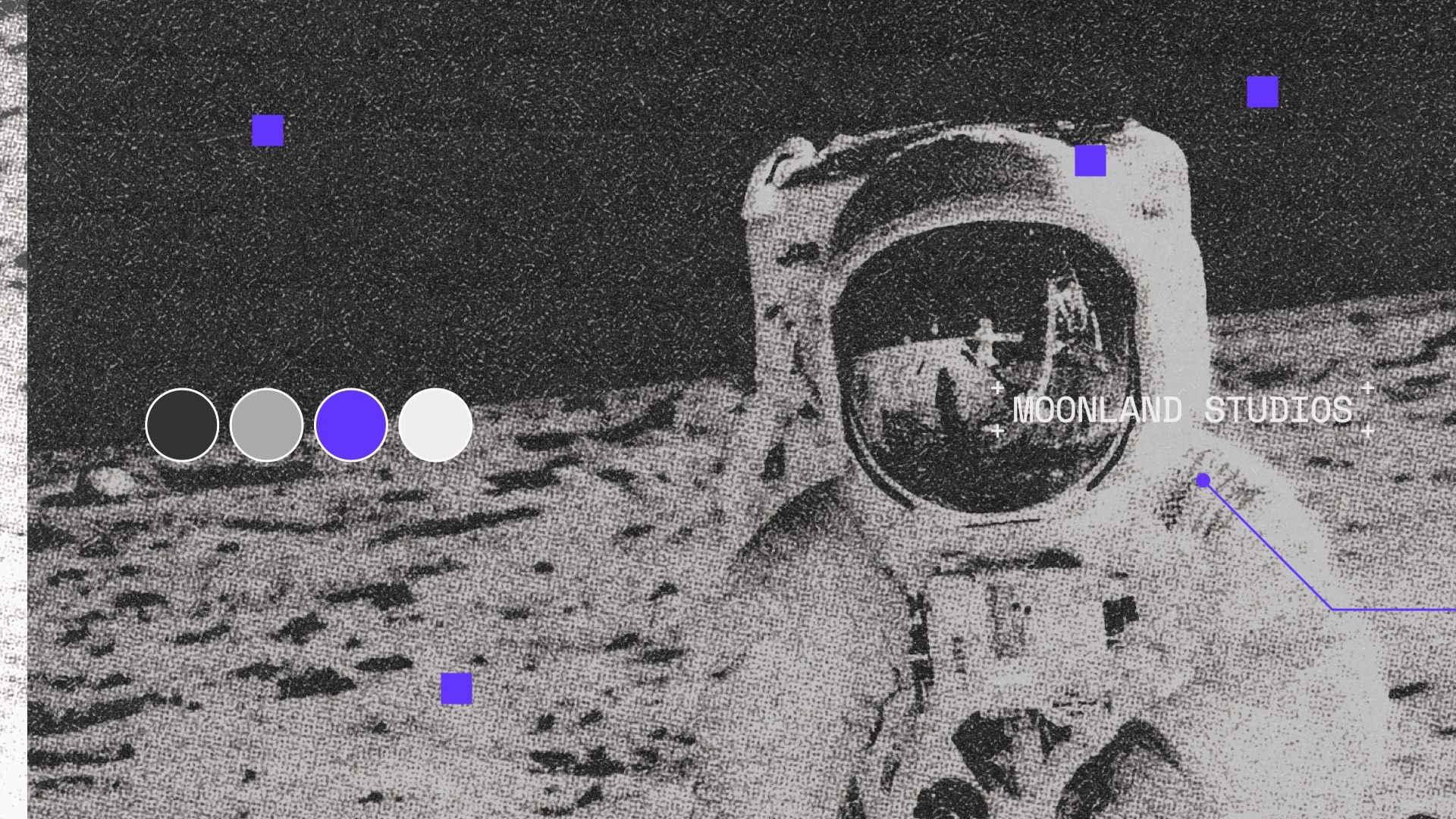 ALPHA_Moonland_BrandGuide_Pur_11.jpg