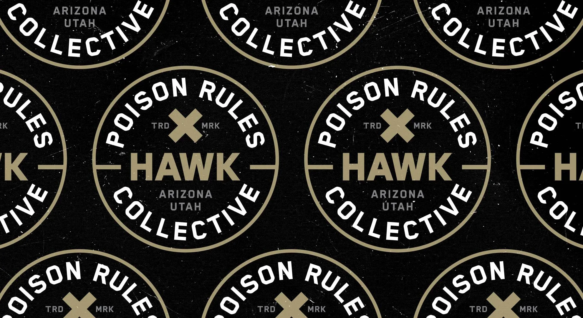 GOUGH_HAWK-PR_2025_1.jpg.webp