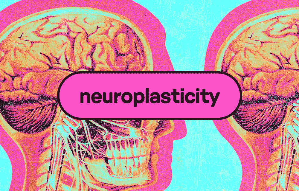 Changing Your Brain