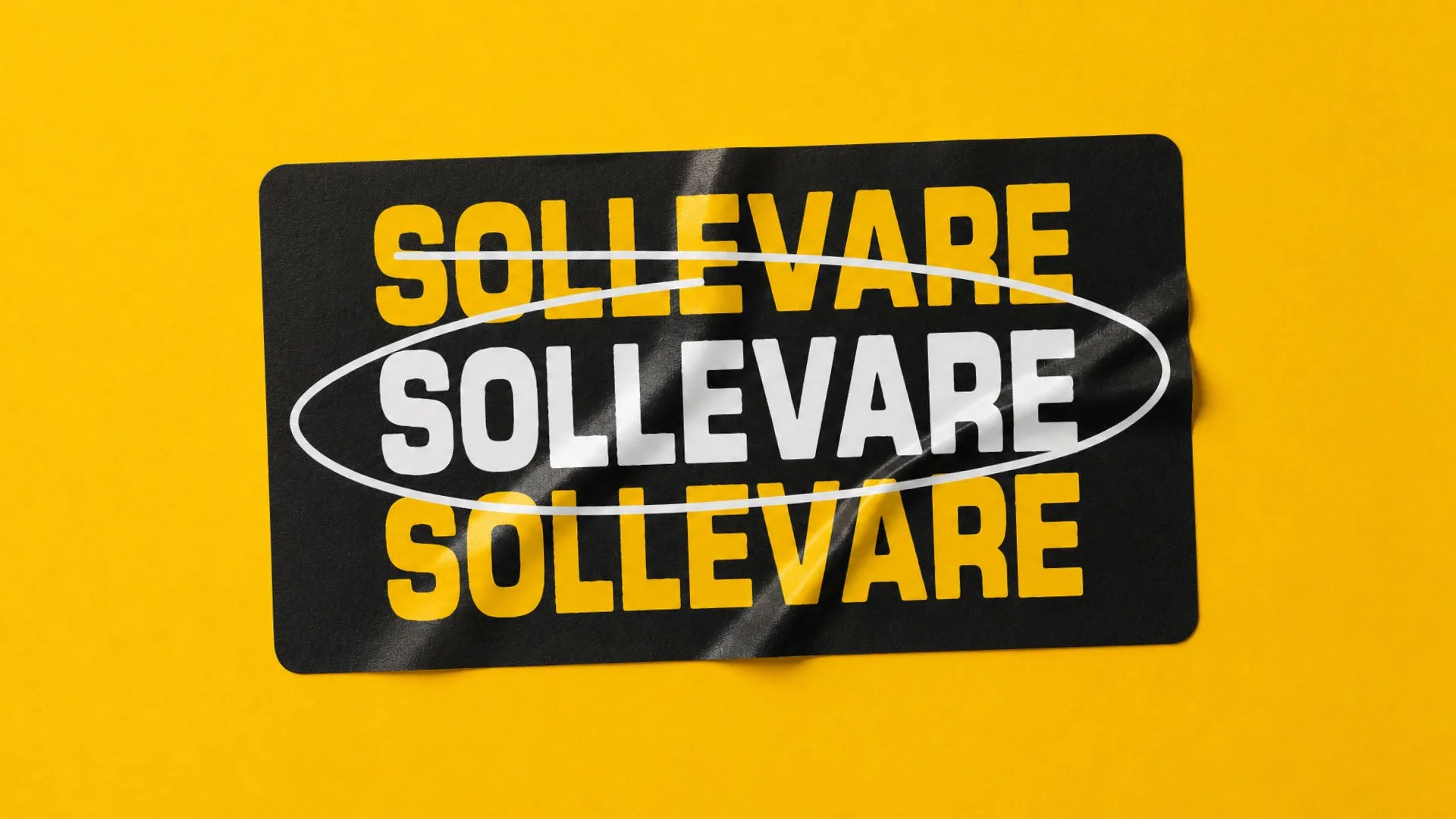 Sollevare / Year 2