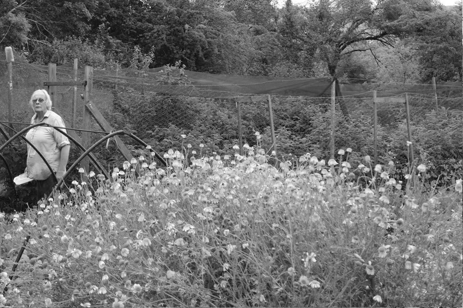 Richard, the polymath of Glensallagh. Geologist and world traveler turned experimental, ambitious gardener.