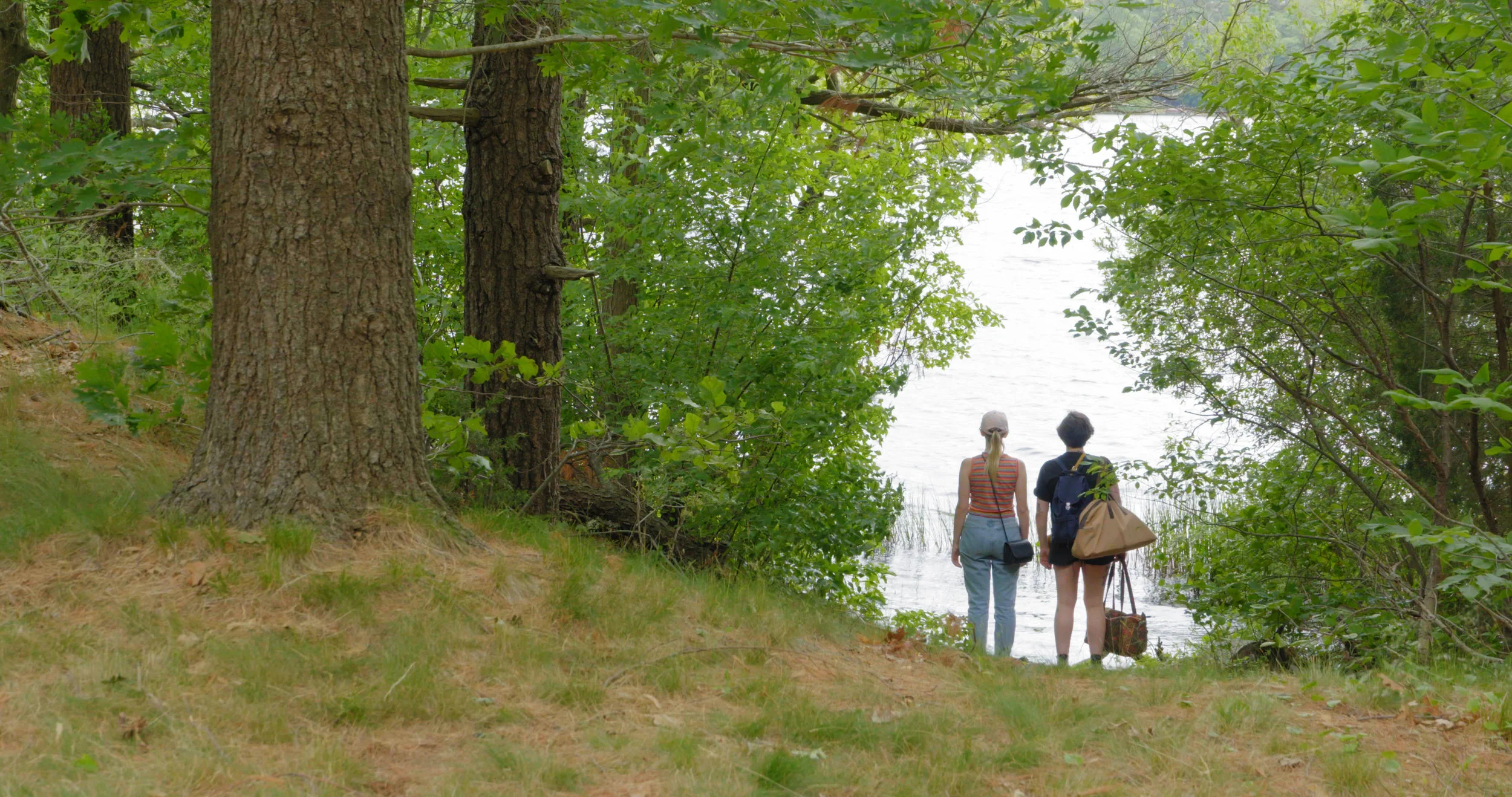 Day 1 card 2.00_05_06_01.Still001.jpg