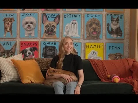 Celebrating 10 years of Clear the Shelters | New York Live TV