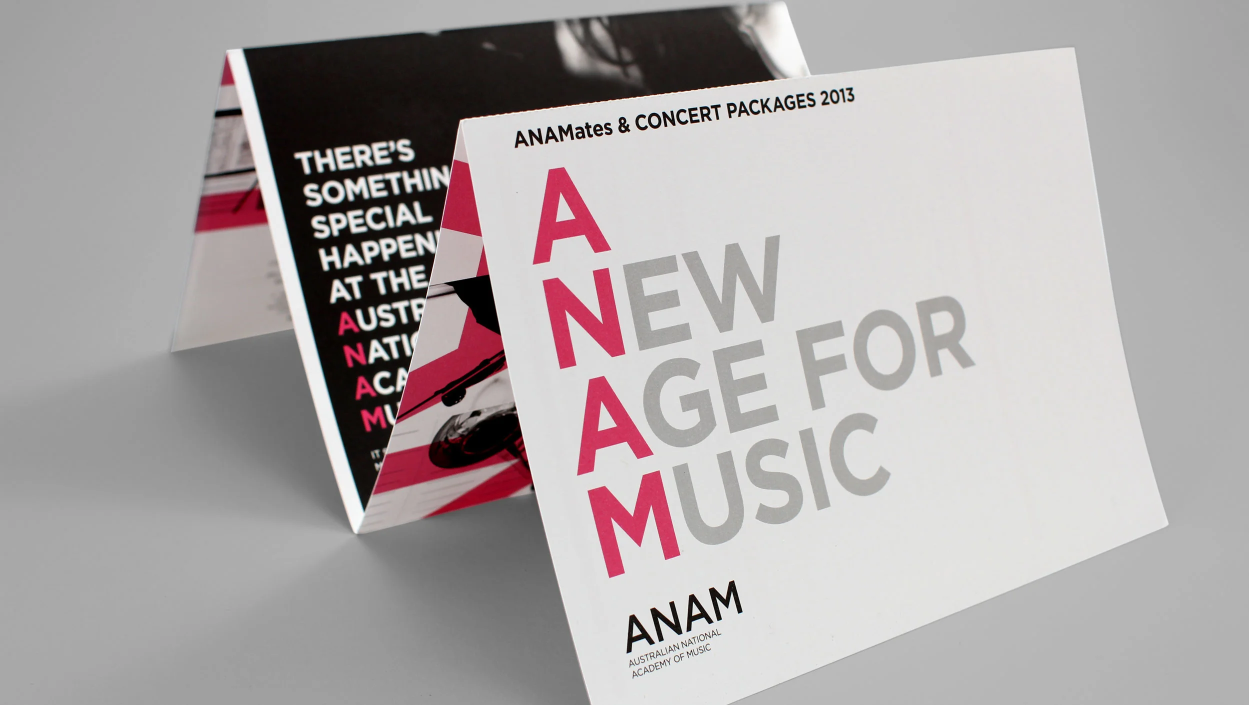 ANAM-2013-foldout-brochure-front-R.jpg